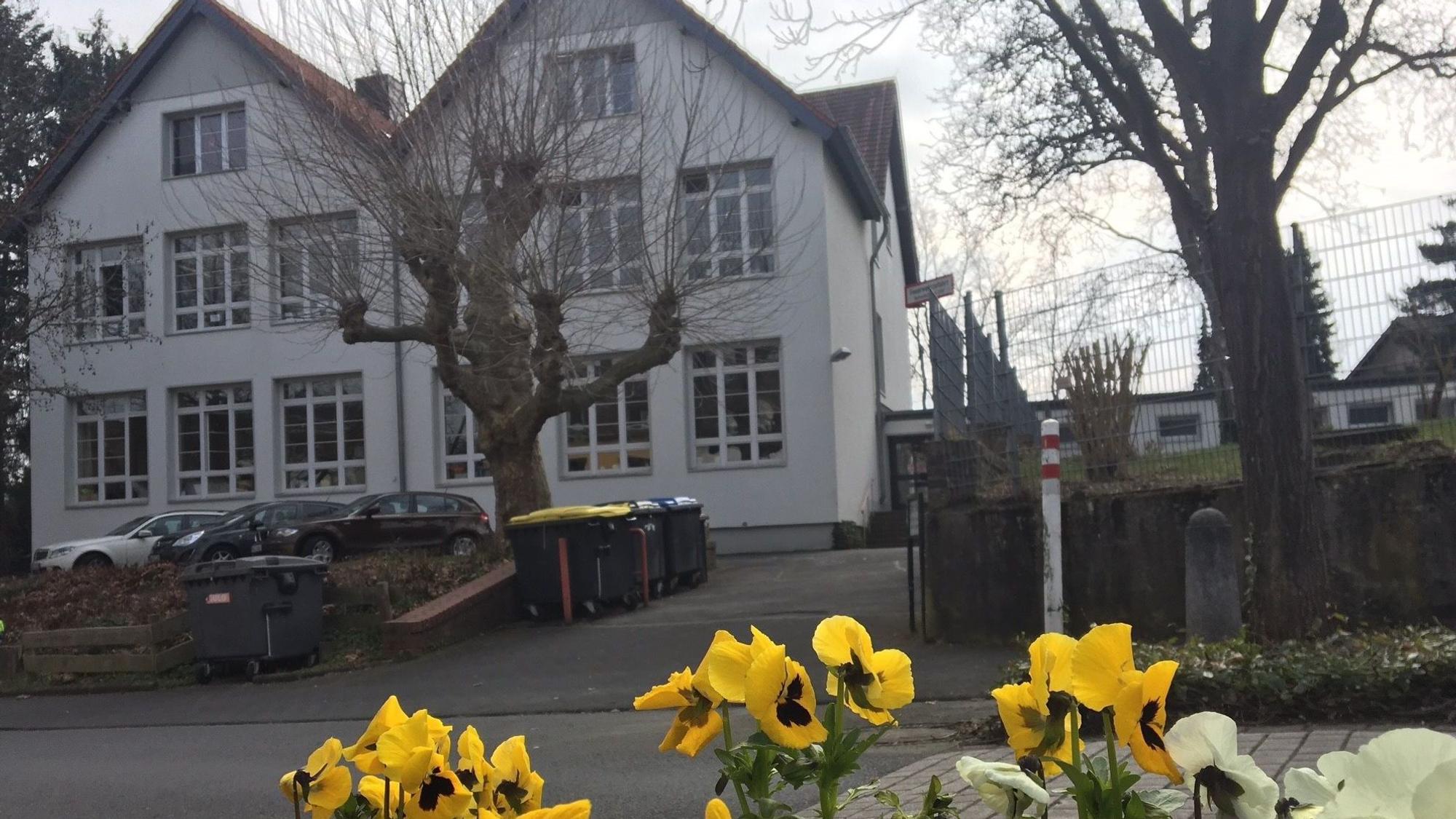 Die Außenfassade der Grundschule mit gelben Blumen im Vordergrund.