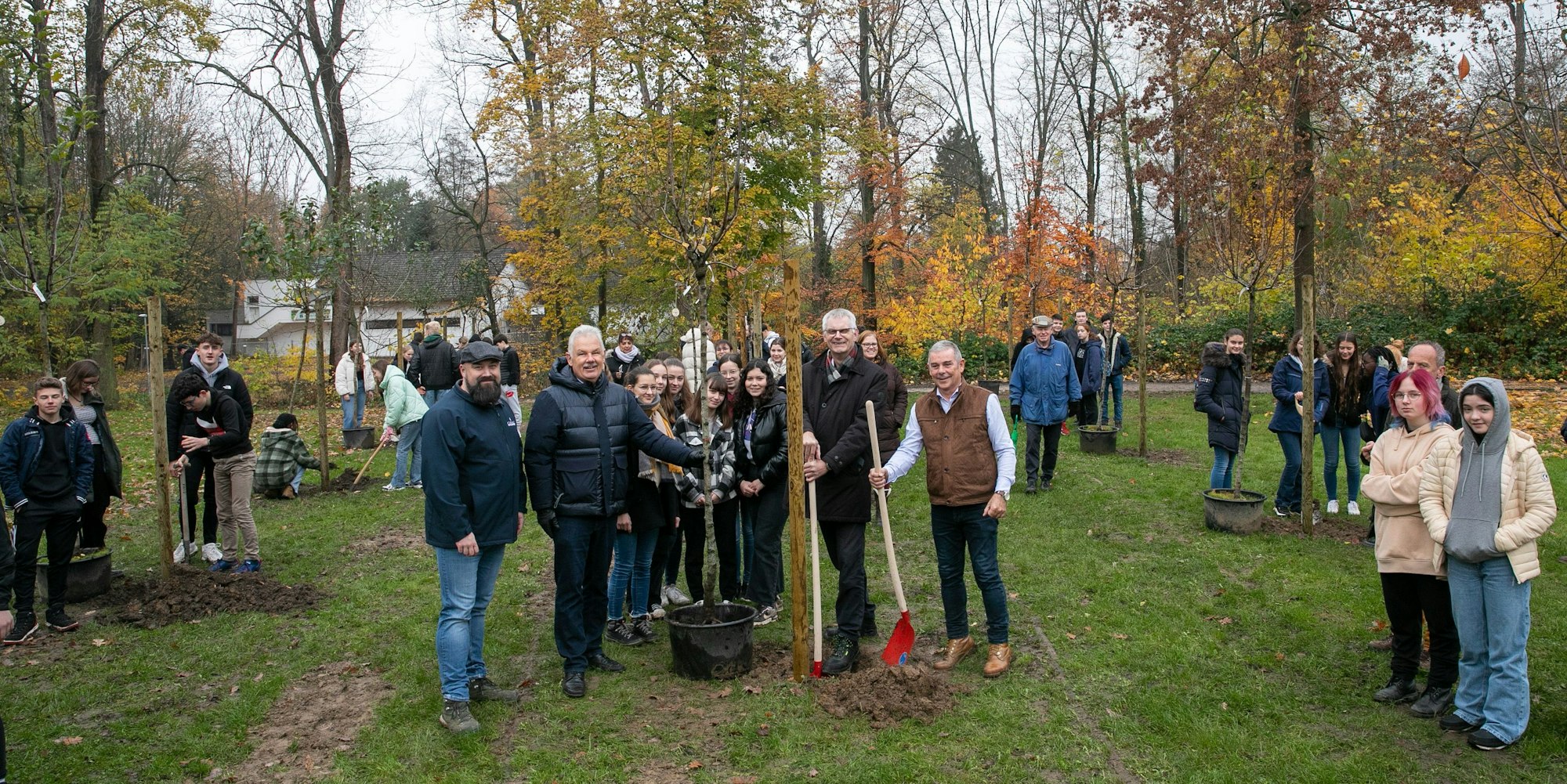 Deutsche und französische Schüler sowie Erwachsene aus beiden Partnerorten pflanzten im Rheinbacher Stadtpark gemeinsam Obstbäume ein.