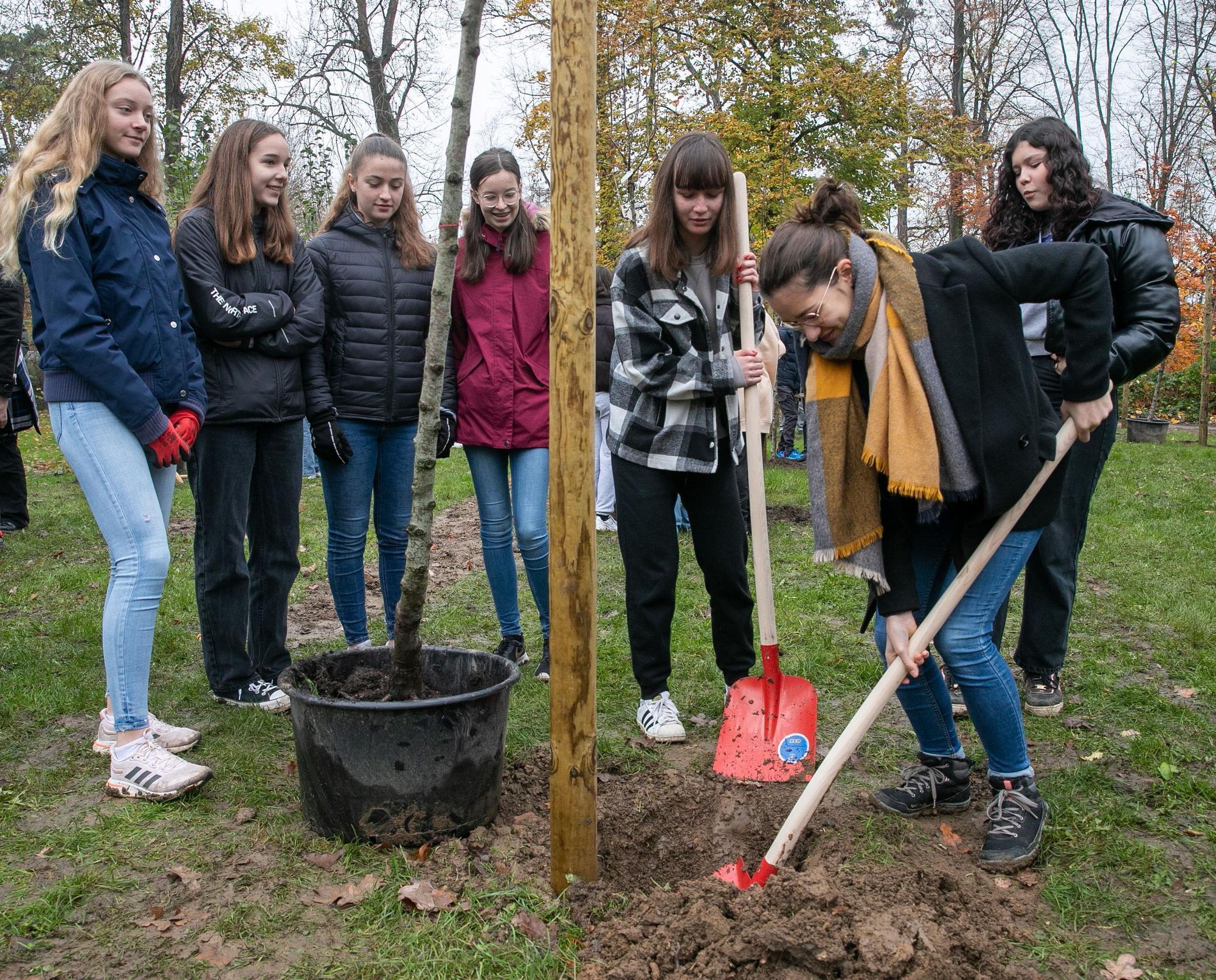 Schüler aus Rheinbach und Verdun schauen zwei jungen Frauen zu, die mit Schaufeln ein Pflanzloch für einen der 16 Obstbäume für den Stadtpark ausheben.