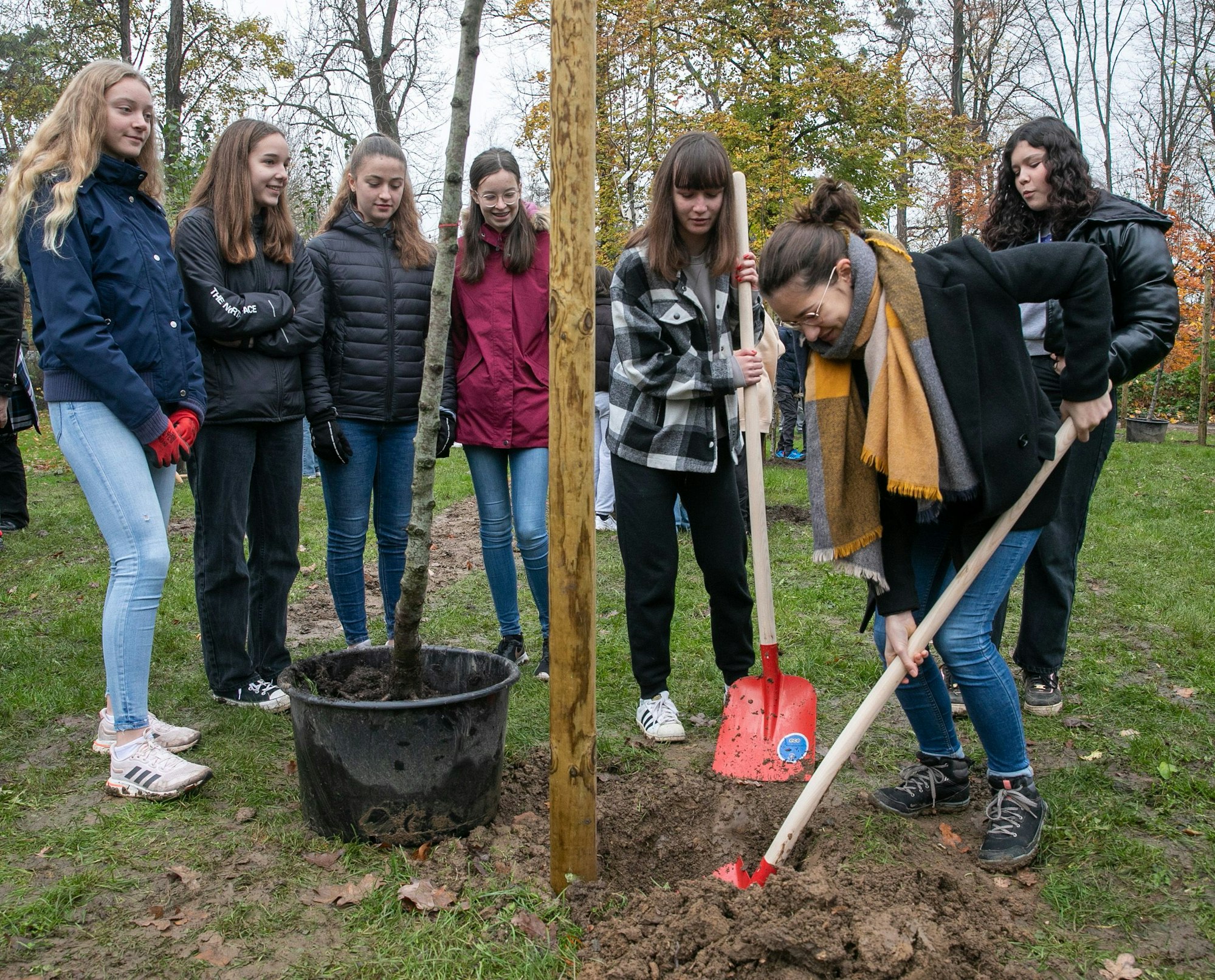 Schüler aus Rheinbach und Verdun schauen zwei jungen Frauen zu, die mit  Schaufeln ein Pflanzloch für einen der 16 Obstbäume für den Stadtpark ausheben.