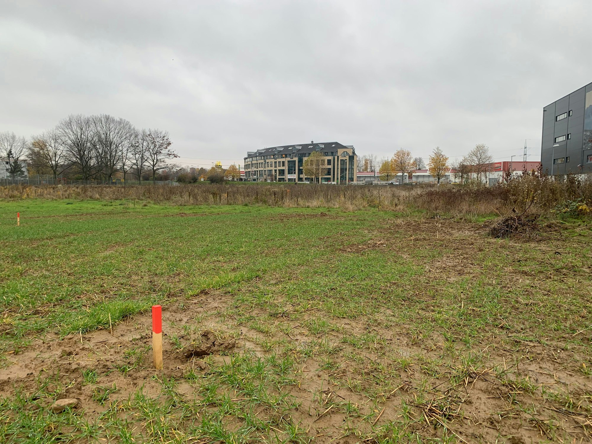 Blick auf die Fläche, auf der die neue Halle entstehen soll