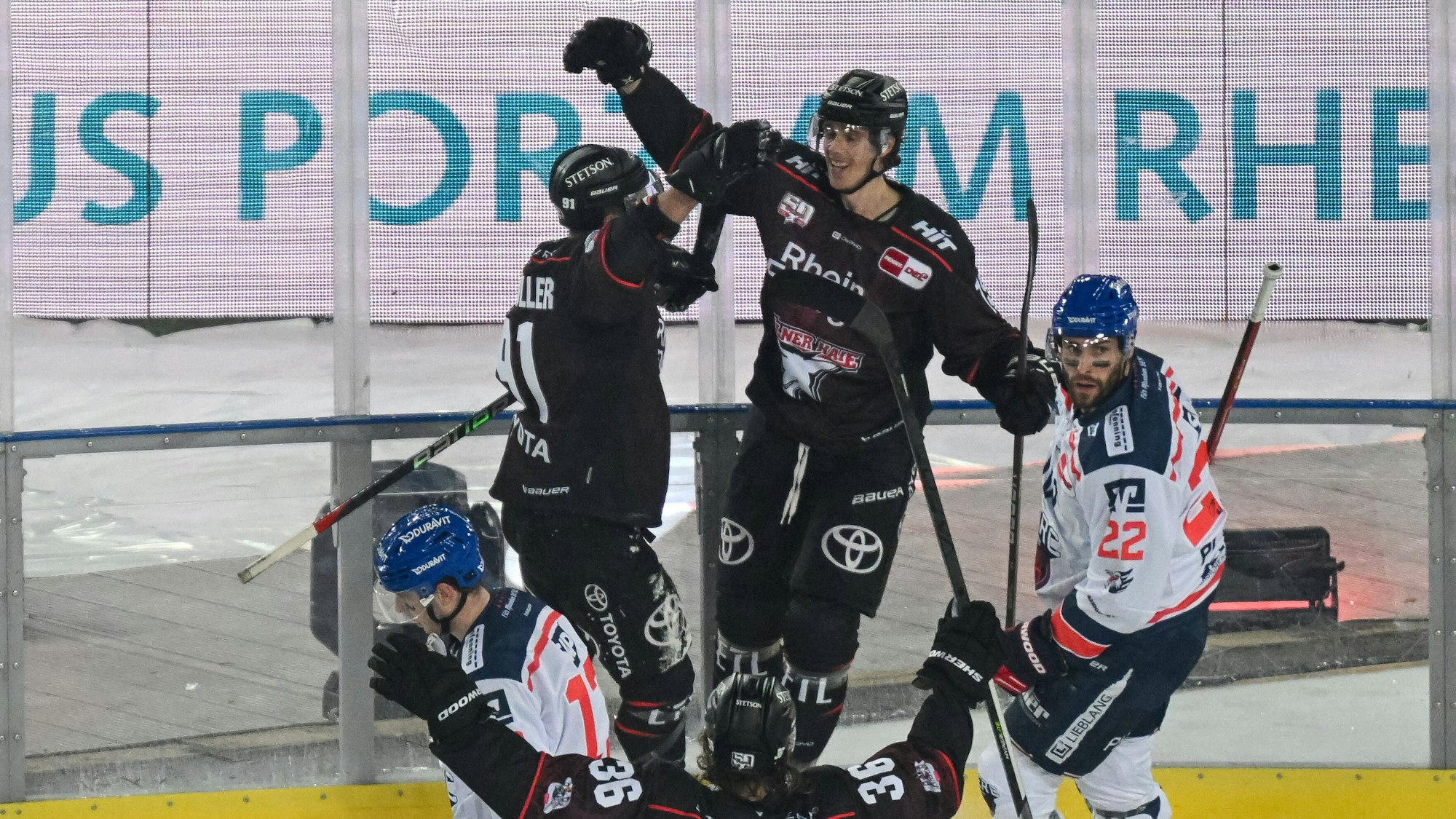 Louis-Marc Aubry von den Haien reisst nach seinem Tor zum 2:0 jubelnd die Arme hoch.