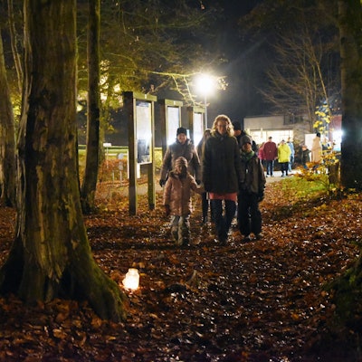 Eine Familie wandert durch einen dunkeln Wald, zwischen den Bäumen sind Teelichter aufgestellt.
