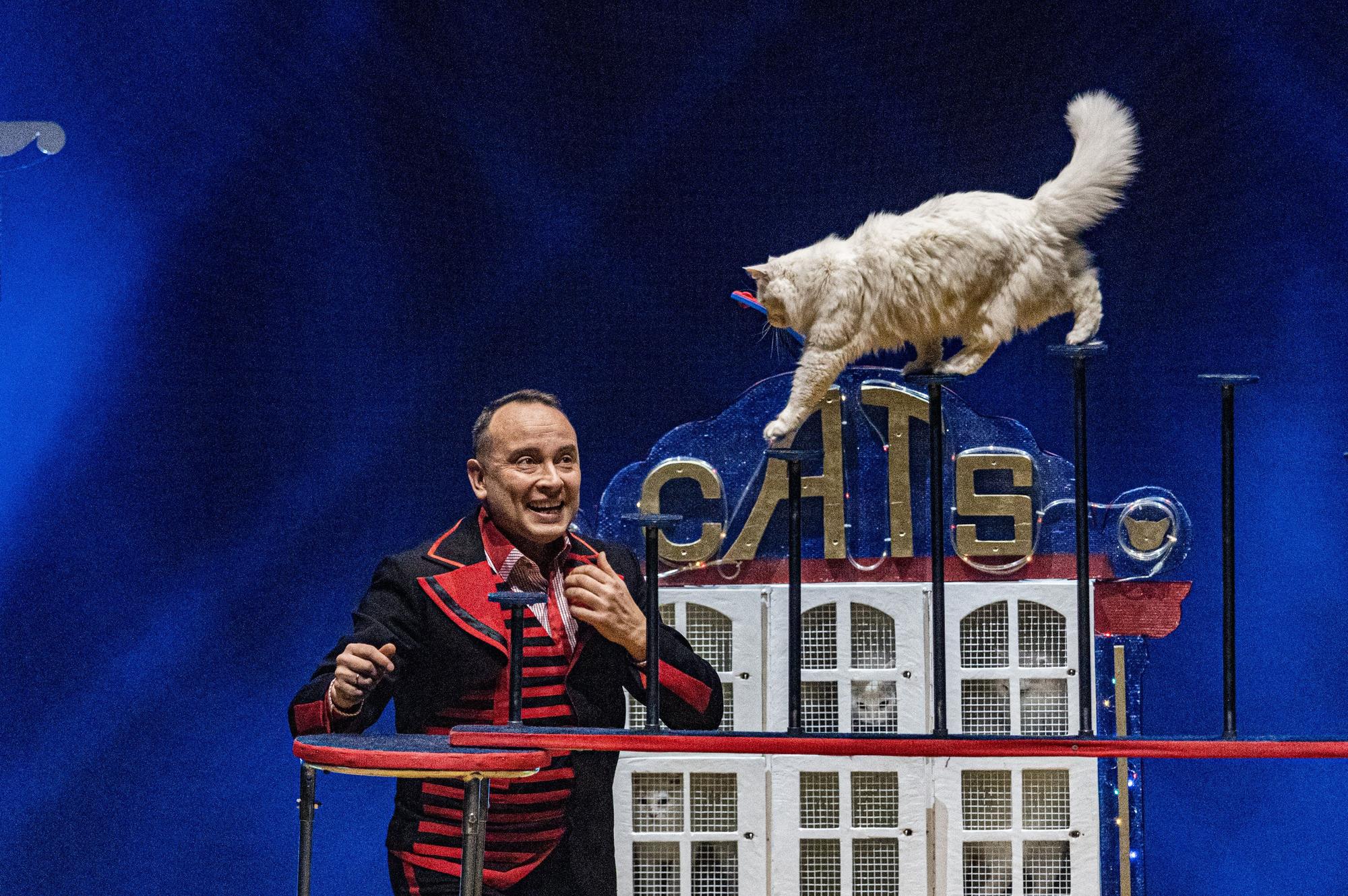 Vlad Ullander schaut seiner Katze zu, wie sie über ein Gerüst spaziert.