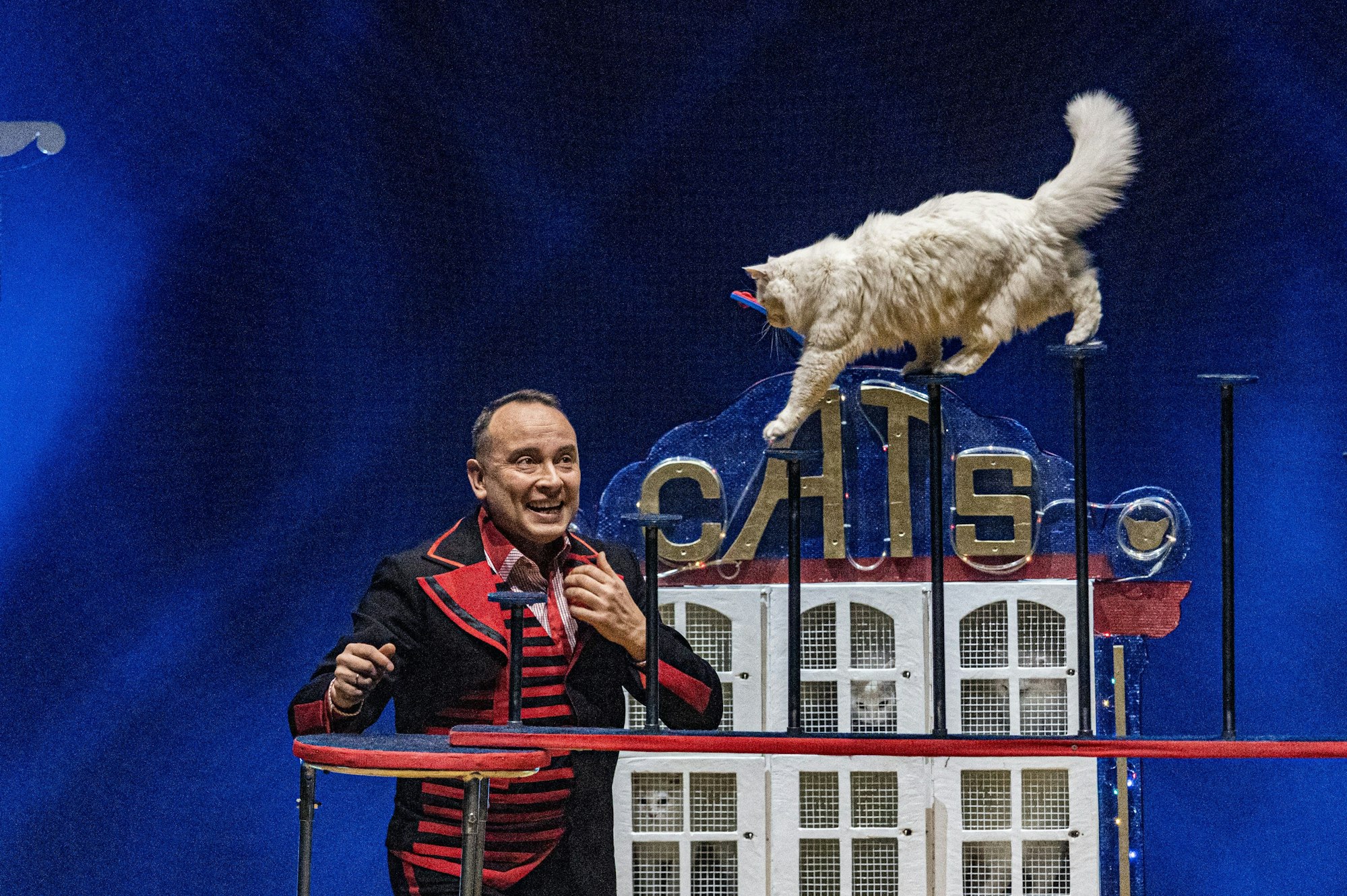 Vlad Ullander schaut seiner Katze zu, wie sie über ein Gerüst spaziert.