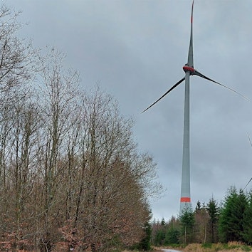 Zwei Windräder stehen im Wald bei Dahlem