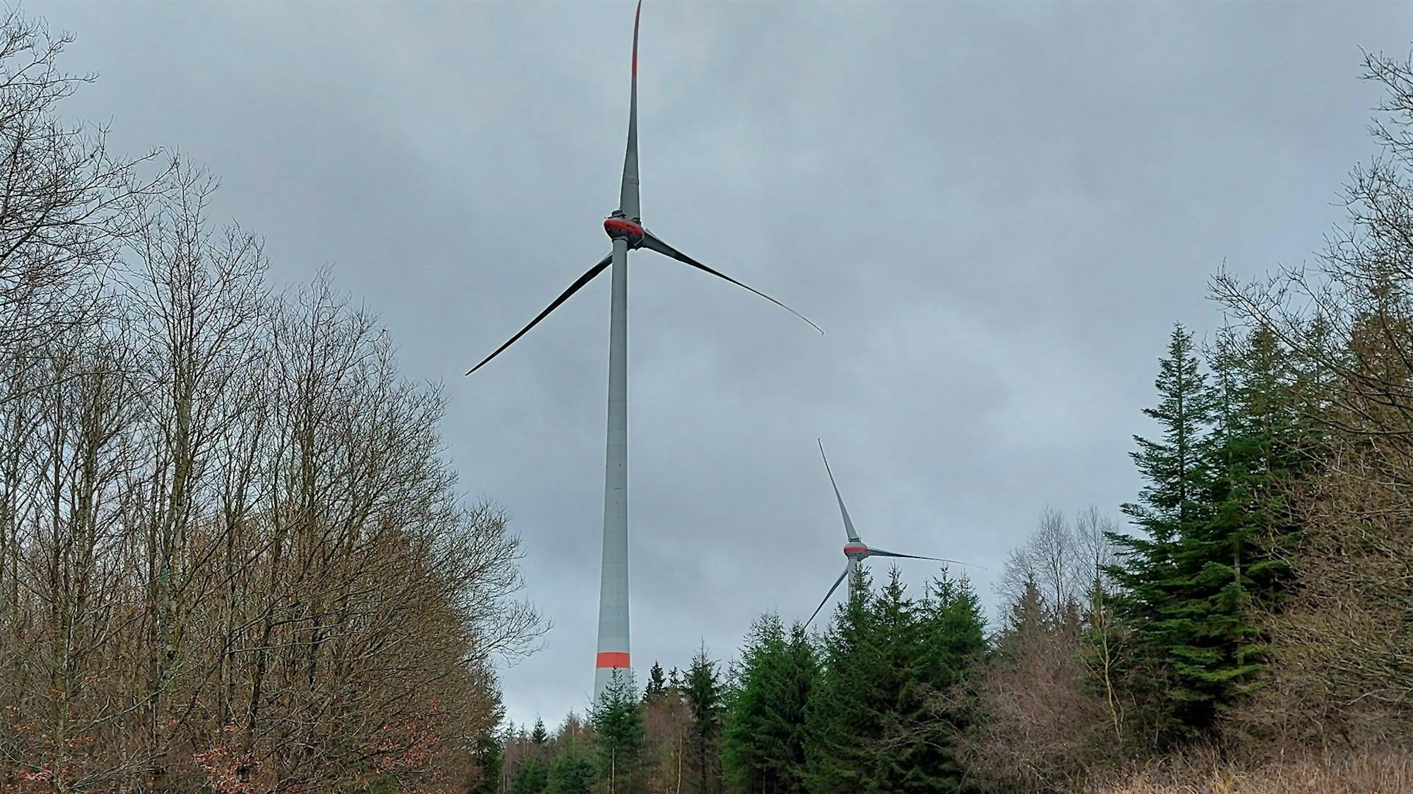 Zwei Windräder stehen im Wald bei Dahlem