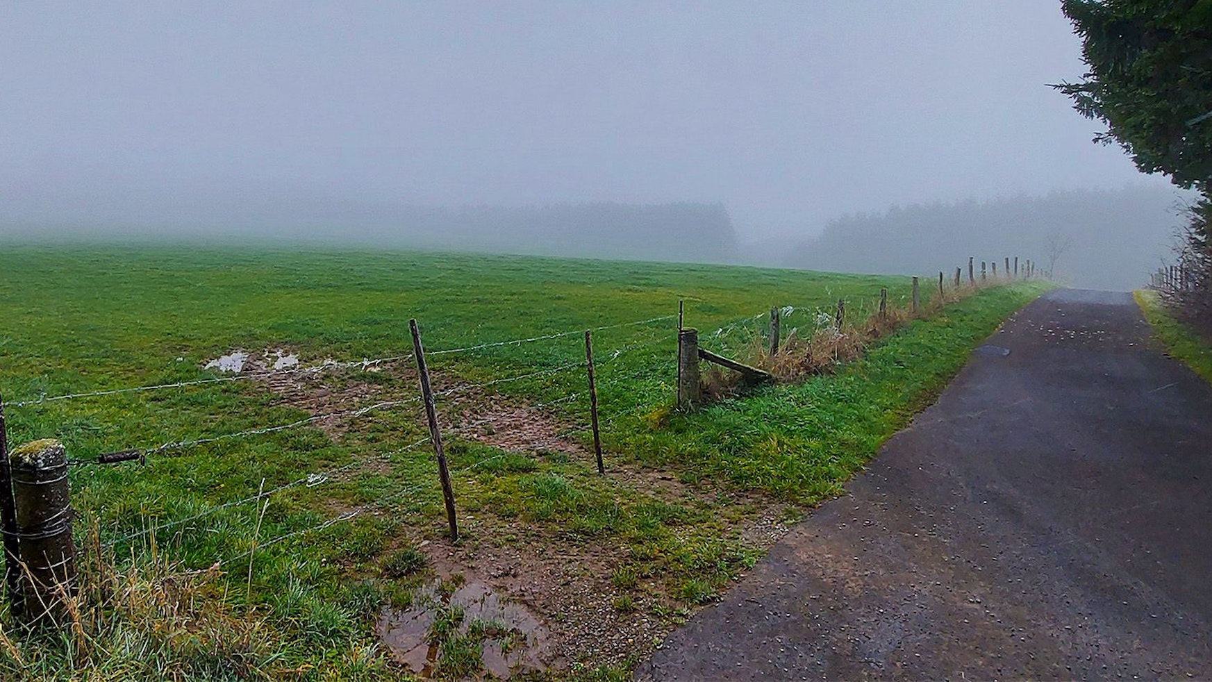 Auf dieser Wiese soll eines der Windräder gebaut werden.