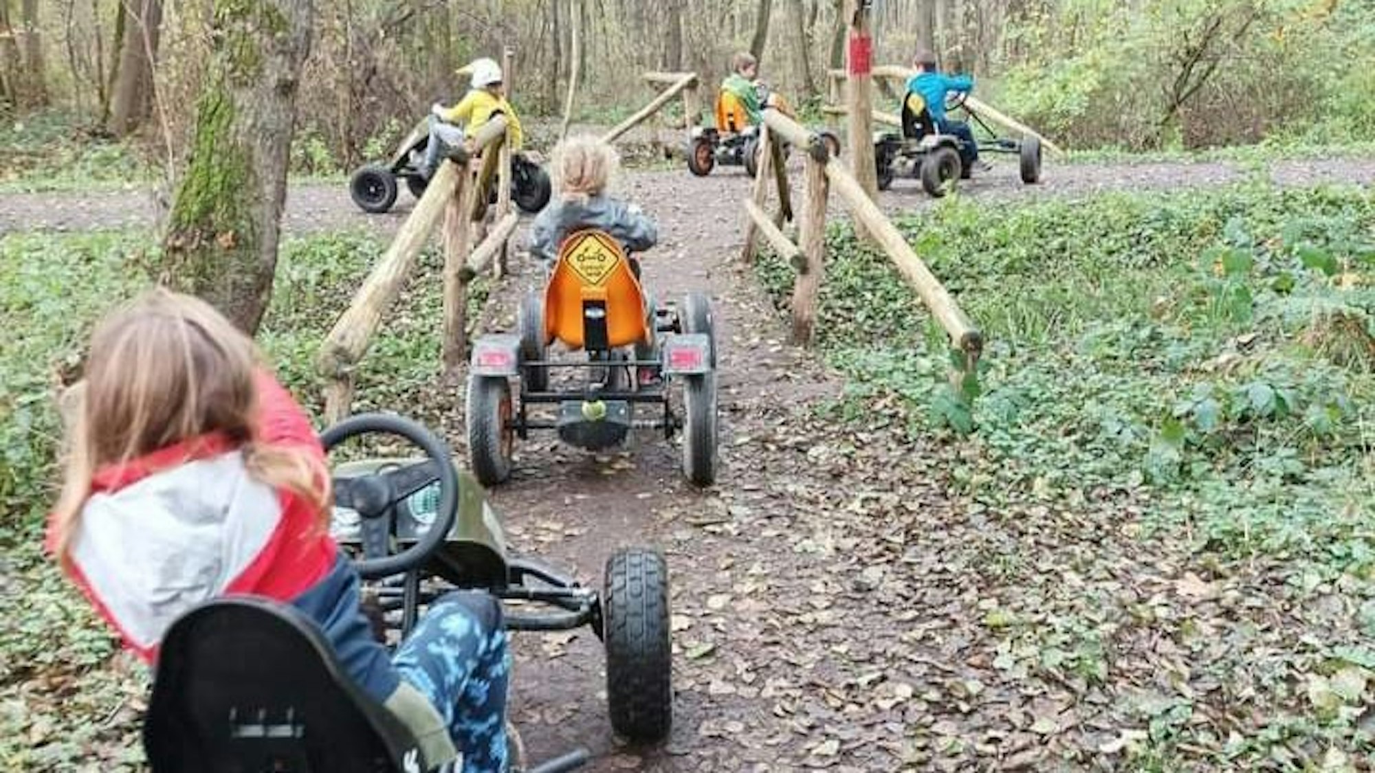 Kinder fahren mit Gokarts durch den Wald.