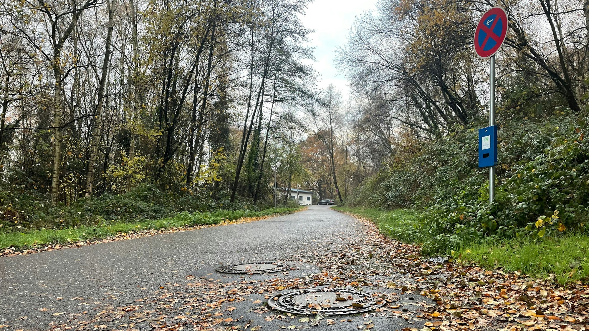 Ein Blick auf den Siegburger Seidenberg. Neben einem schmalen Weg verläuft ein Waldstück.