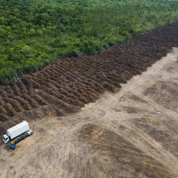 Ein Lastwagen steht in einem abgeholzten Gebiet des Amazonas.