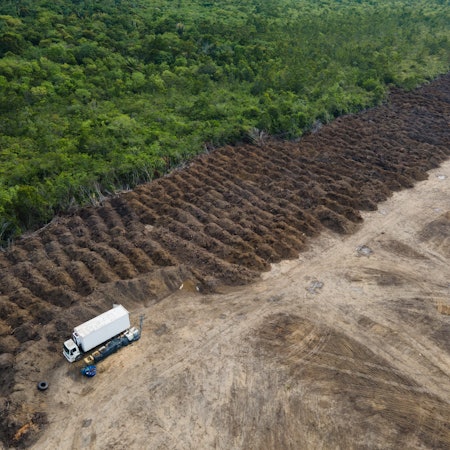Ein Lastwagen steht in einem abgeholzten Gebiet des Amazonas.