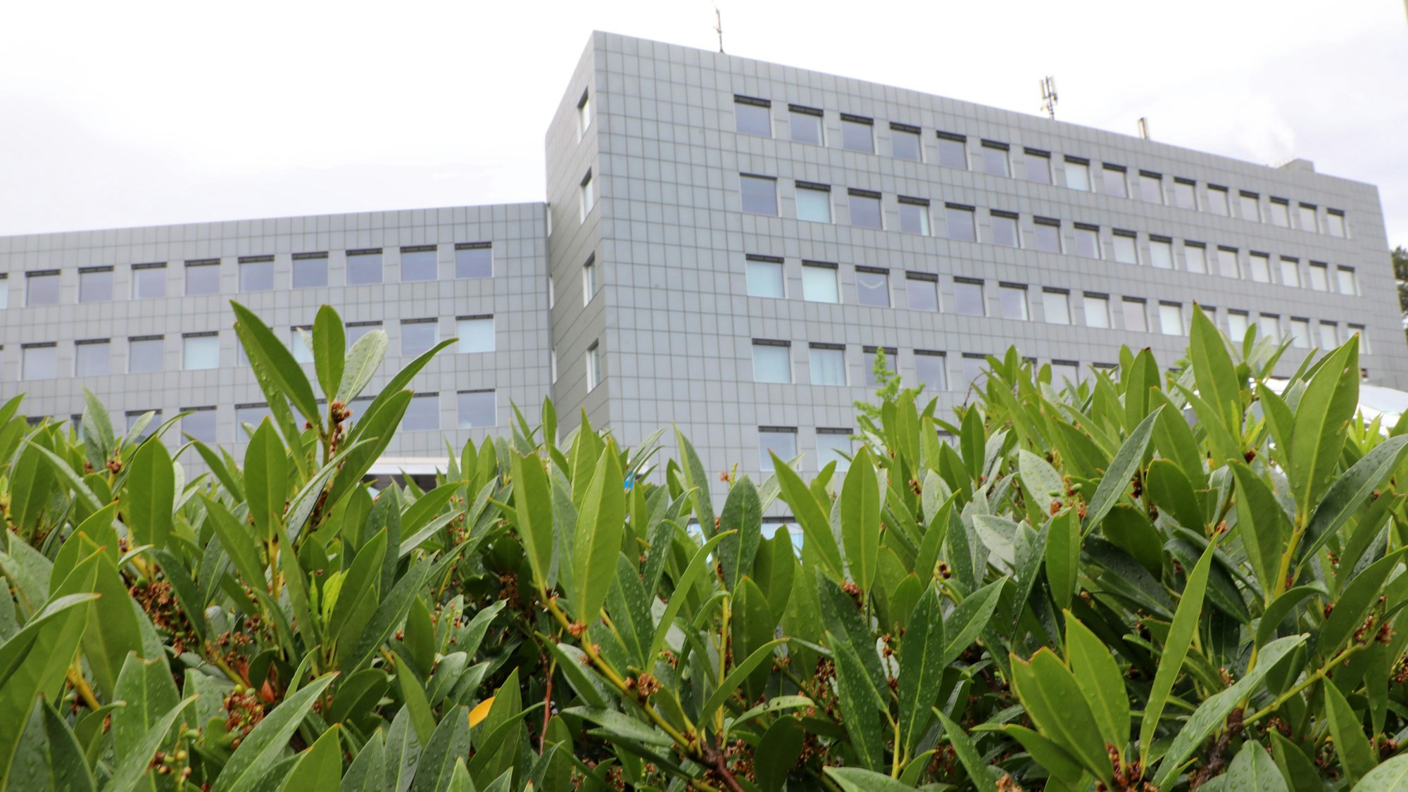 Das Kreishaus am Rübezahlwald in Bergisch Gladbach ist Sitz der rheinisch-bergischen Kreisverwaltung.