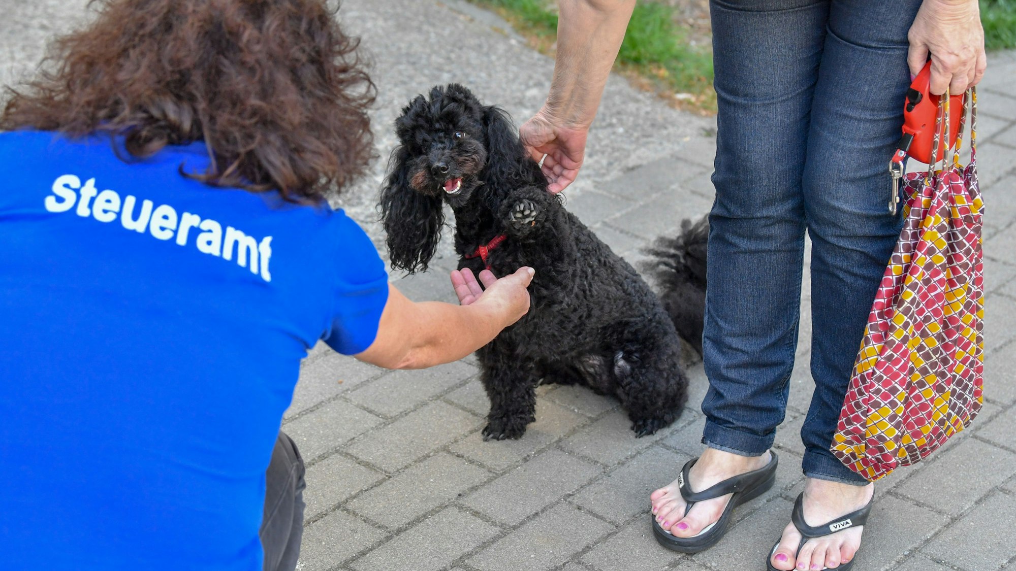 Eine Sachbearbeiterin vom Steueramt lässt sich auf ihrem Kontrollgang durch die Stadt von der Pudelhündin Gina die Pfote geben.