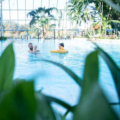 Unter dem Kuppelglasdach der Euskirchener Therme hat eine Familie mit einem Kleinkind Spaß im warmen Wasser. Am Beckenrand sind Palmen und andere exotische Pflanzen zub sehen.