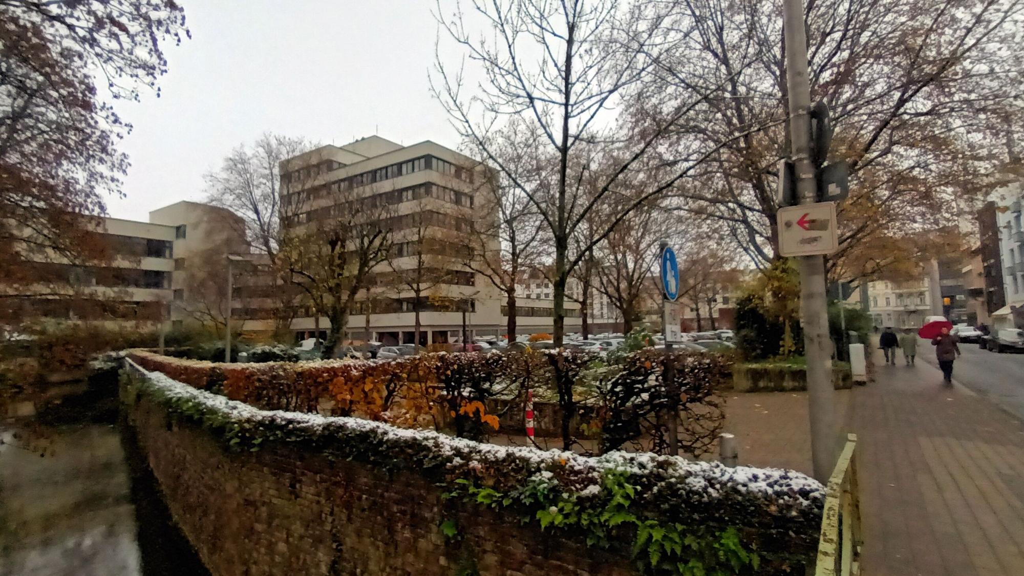 Die 15 Bäume, die für den Neubau am Amtsgericht gefällt werden sollen.
