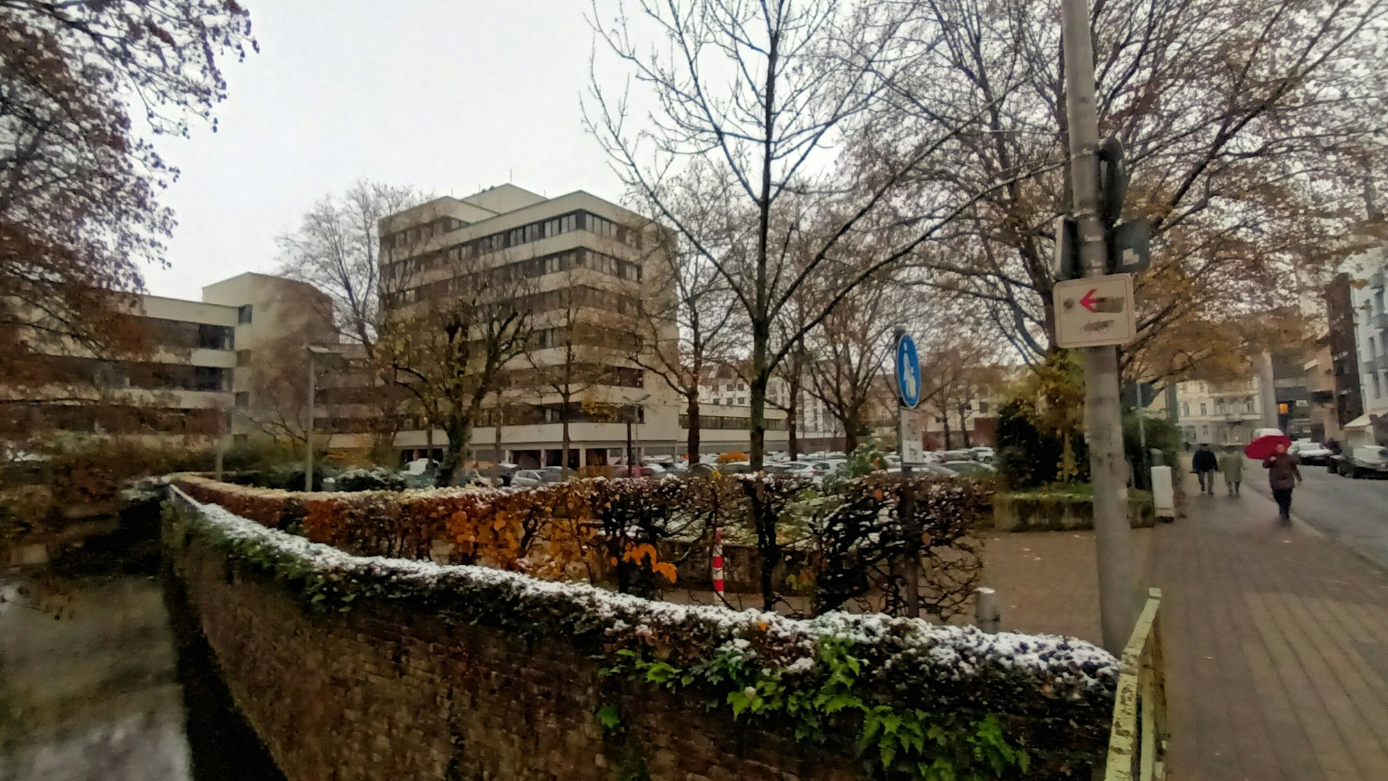 Die 15 Bäume, die für den Neubau am Amtsgericht gefällt werden sollen.