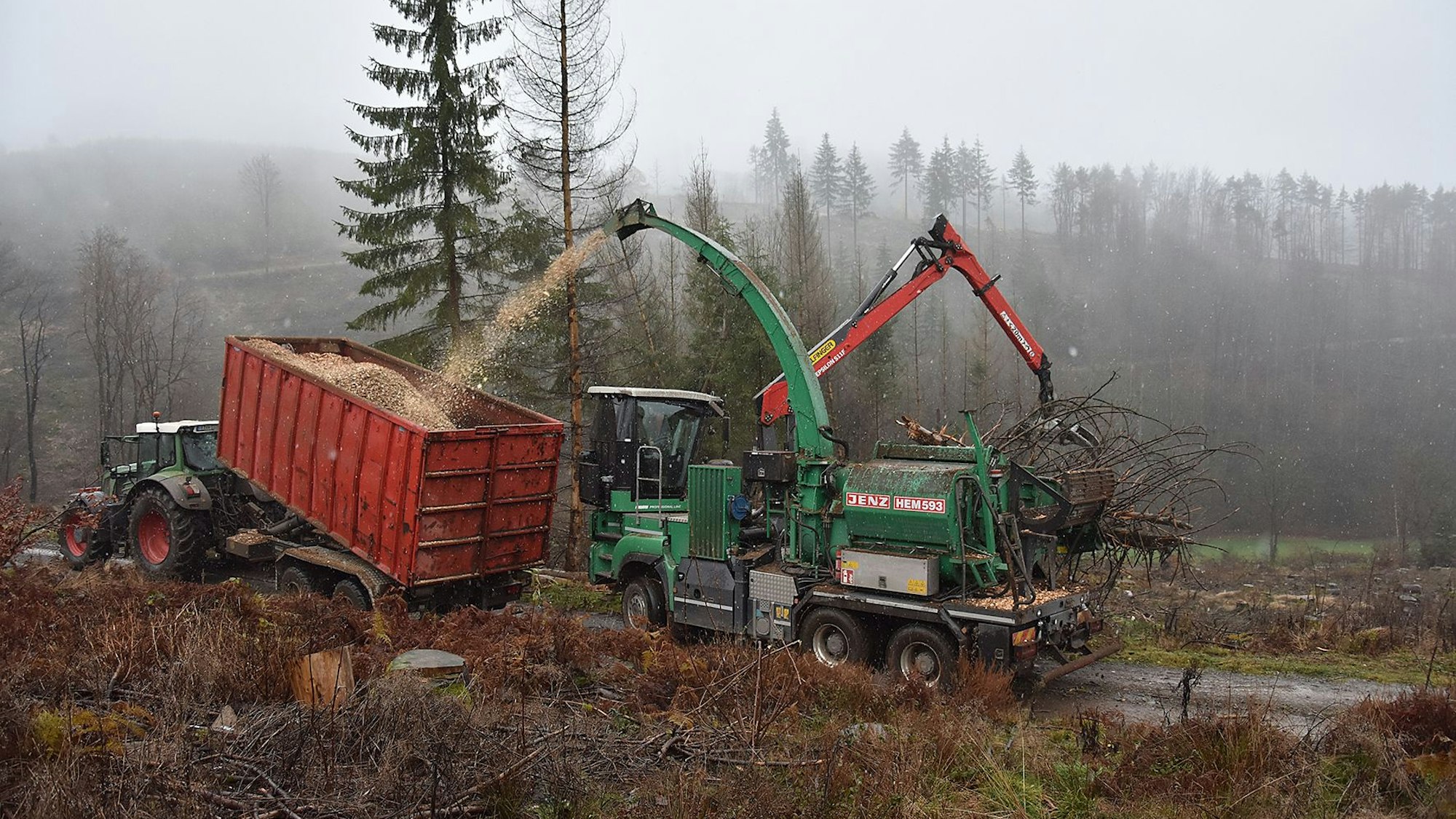 Hackschnitzel fallen aus einem Häcksler in einen Container.