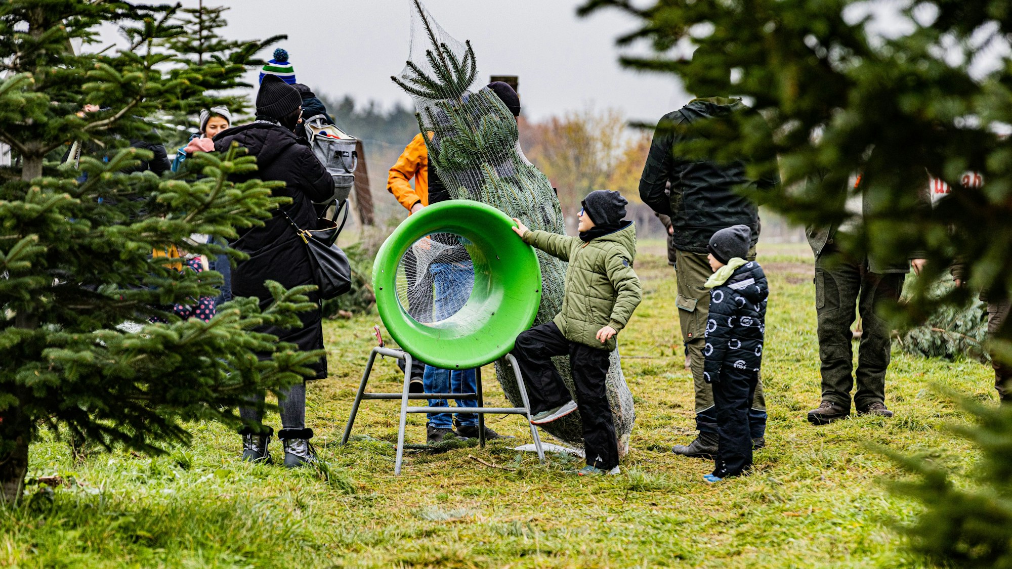 Weihnachtsbaumverkauf in Bornheim: Ein ausgewählter Baum kommt in die Einnetzmaschine und wird dann nach Hause gebracht. Daneben stehen Kinder und Erwachsene.