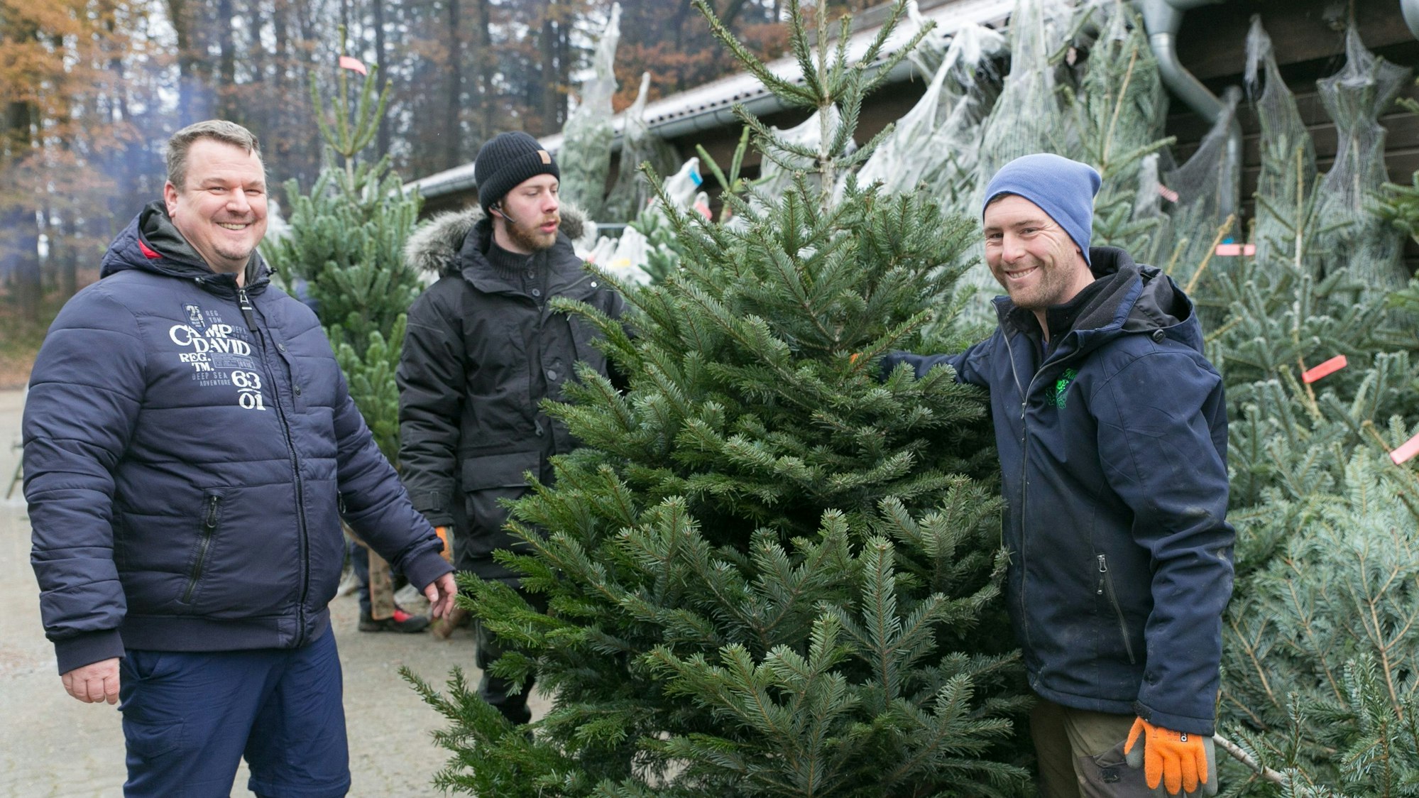 Matthias Klein steht neben einer seiner Weihnachstbäume