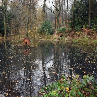 Ein Holzhäuschen steht im Waldbröler Entenweiher. Herbstliches Laub liegt auf dem Wasser.