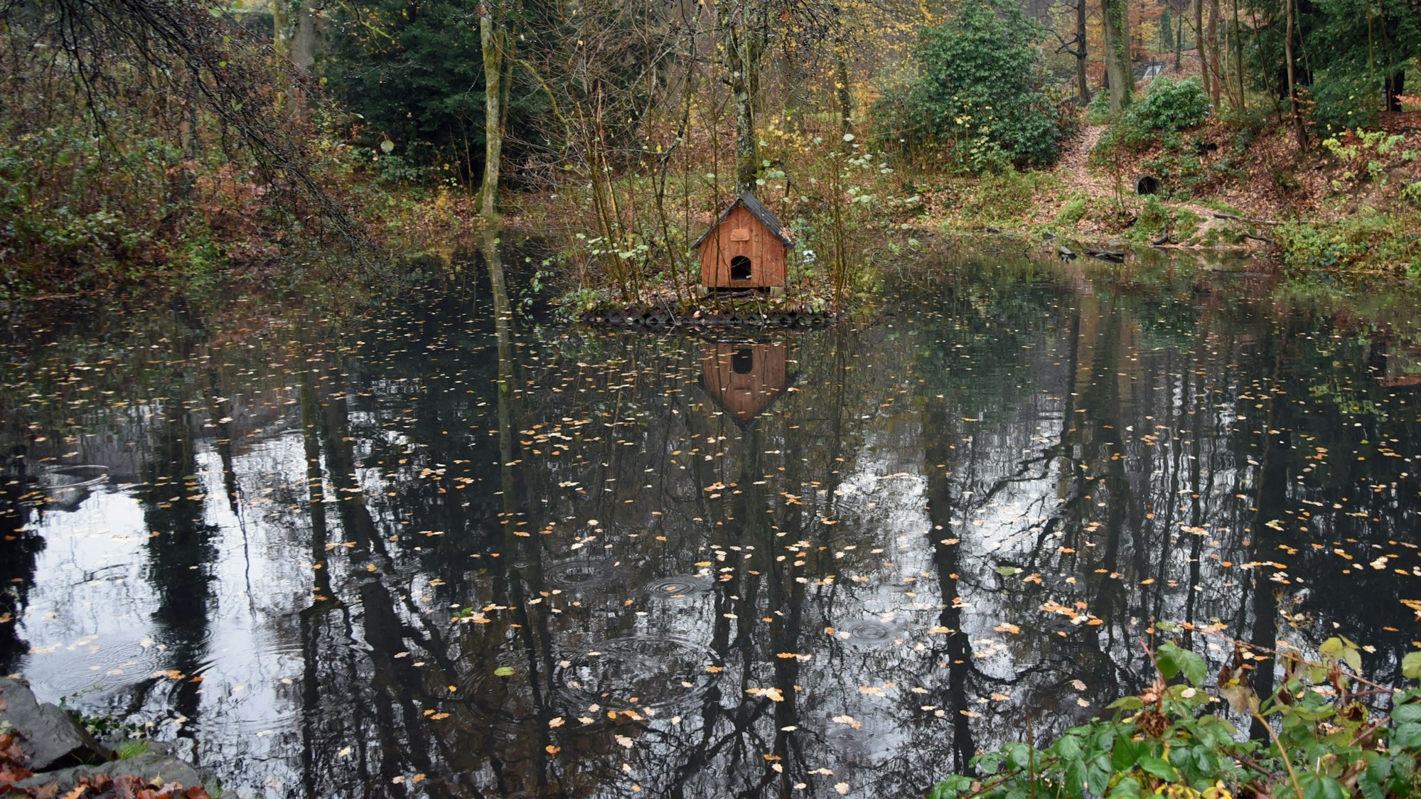 Ein Holzhäuschen steht im Waldbröler Entenweiher. Herbstliches Laub liegt auf dem Wasser.