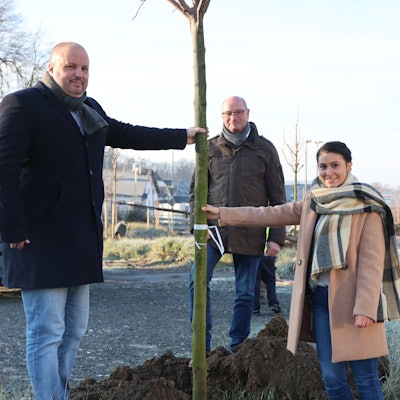 Zwei Männer und eine Frau pflanzen einen Baum in Bergneustadt.