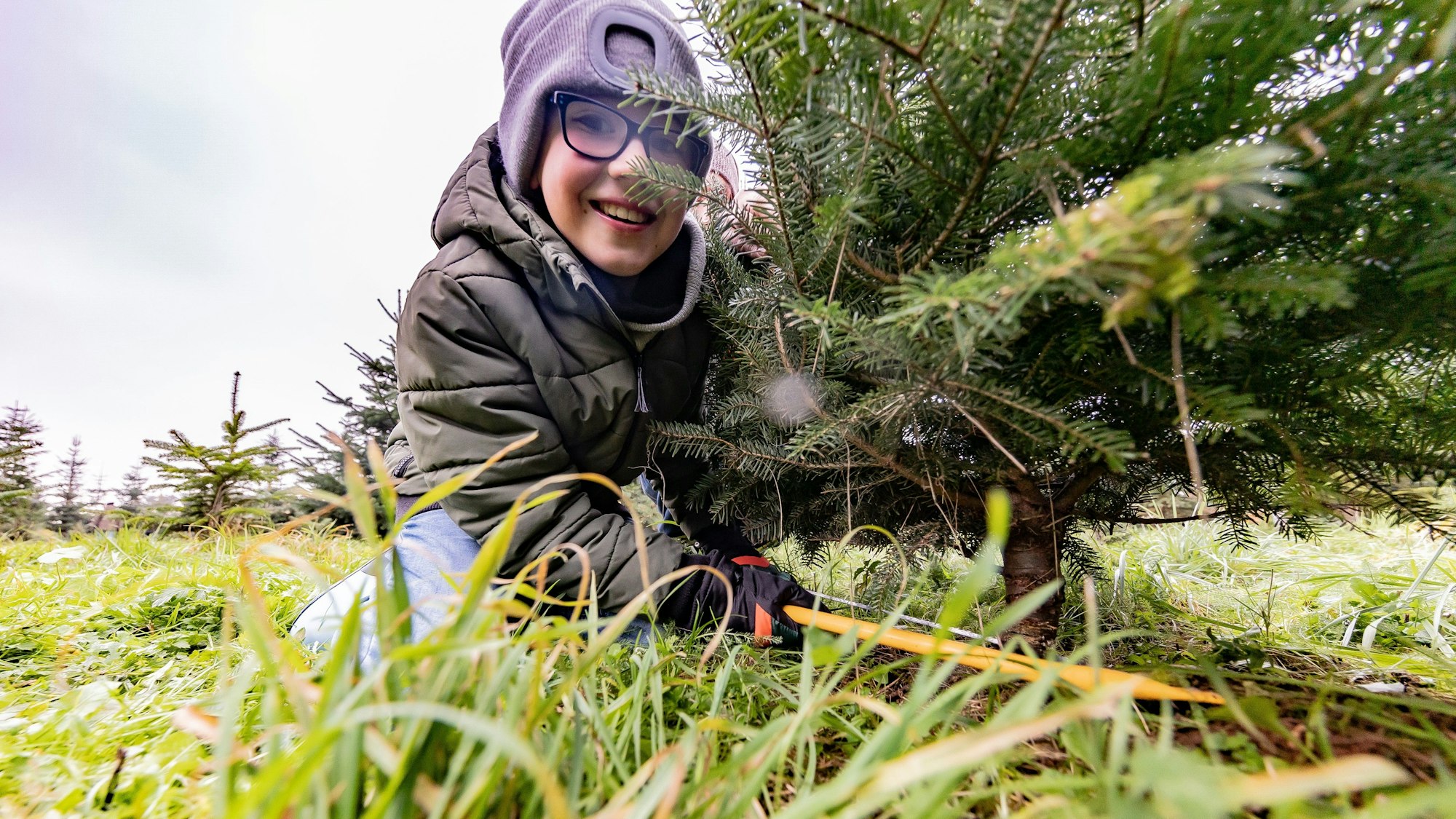 Ben Liebsch sägt zusammen mit Vater Marc eine Tanne für Weihnachten ab. Bei Martin Bollenbeck sind sie fündig geworden.