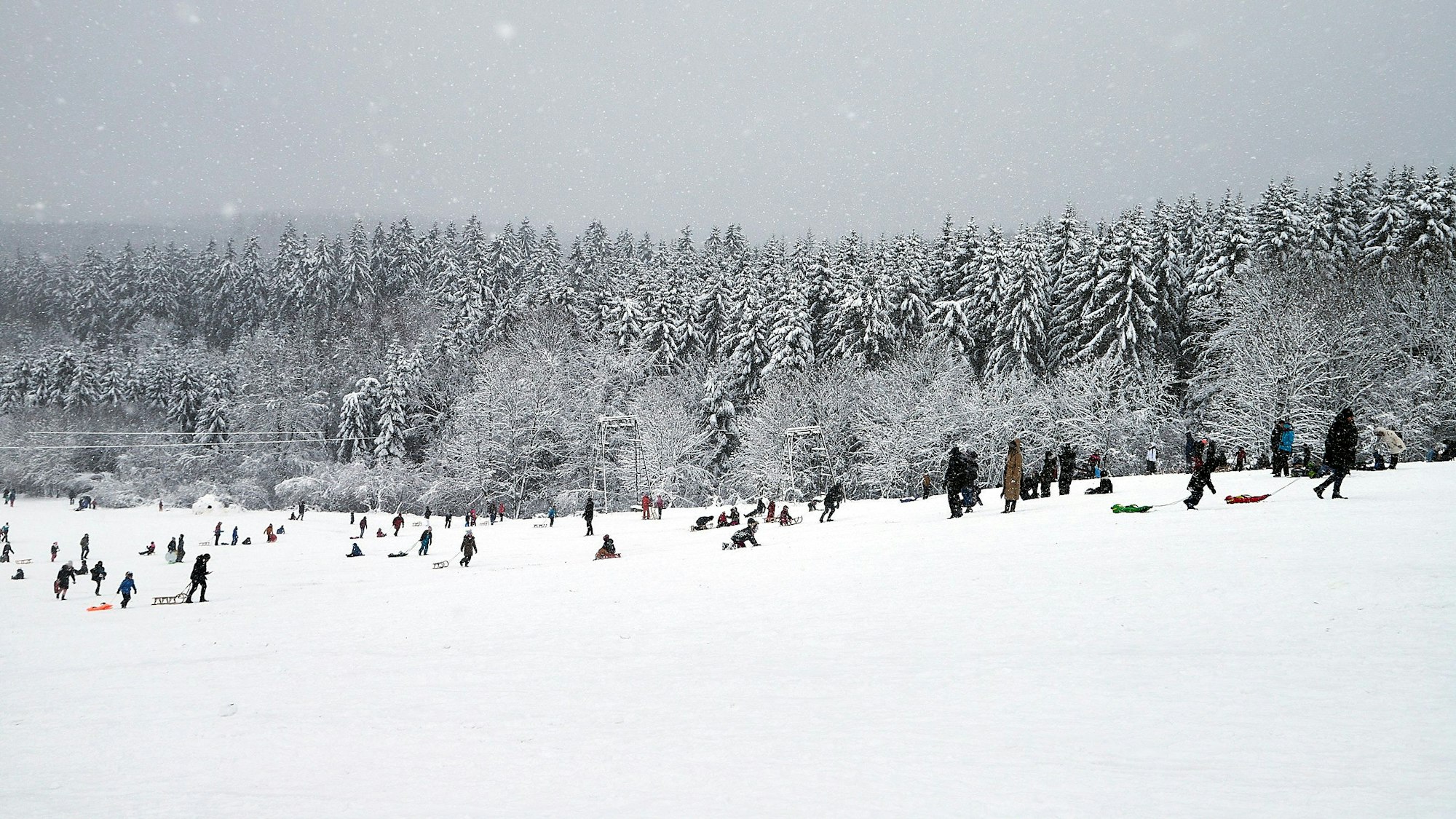 Schneevergnügen am Weißer Stein in Udenbreth