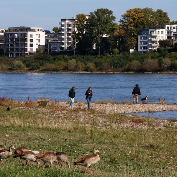 Passanten am Rheinufer in Köln-Niehl