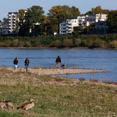 Passanten am Rheinufer in Köln-Niehl