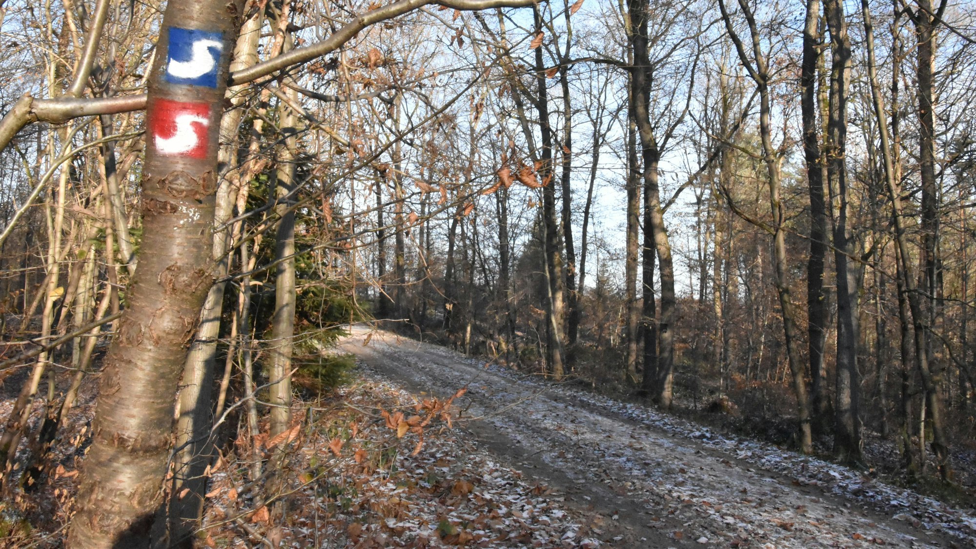 Zu sehen ist ein Weg in einem Wald, die Bäume sind winterlich kahl und es liegt etwas Schnee. An einem Baum im Vordergrund prangt eine aufgesprühte Markierung: ein S auf blauem Grund und ein S auf rotem Grund.