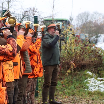 Jäger in orangefarbenen Jacken blasen in ihre Jagdhörner.