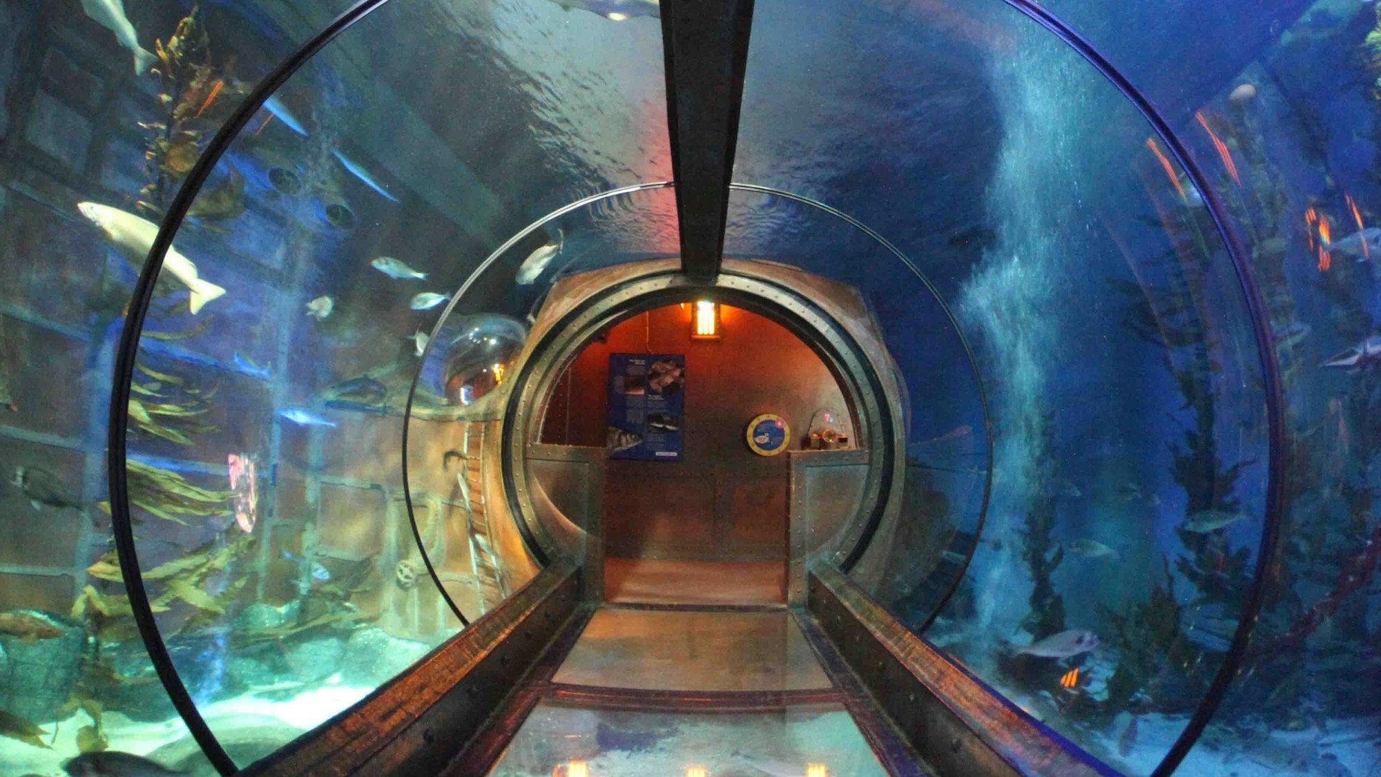 Das Ozenbecken im Aquarium Sea Life fasst 500.000 Liter.