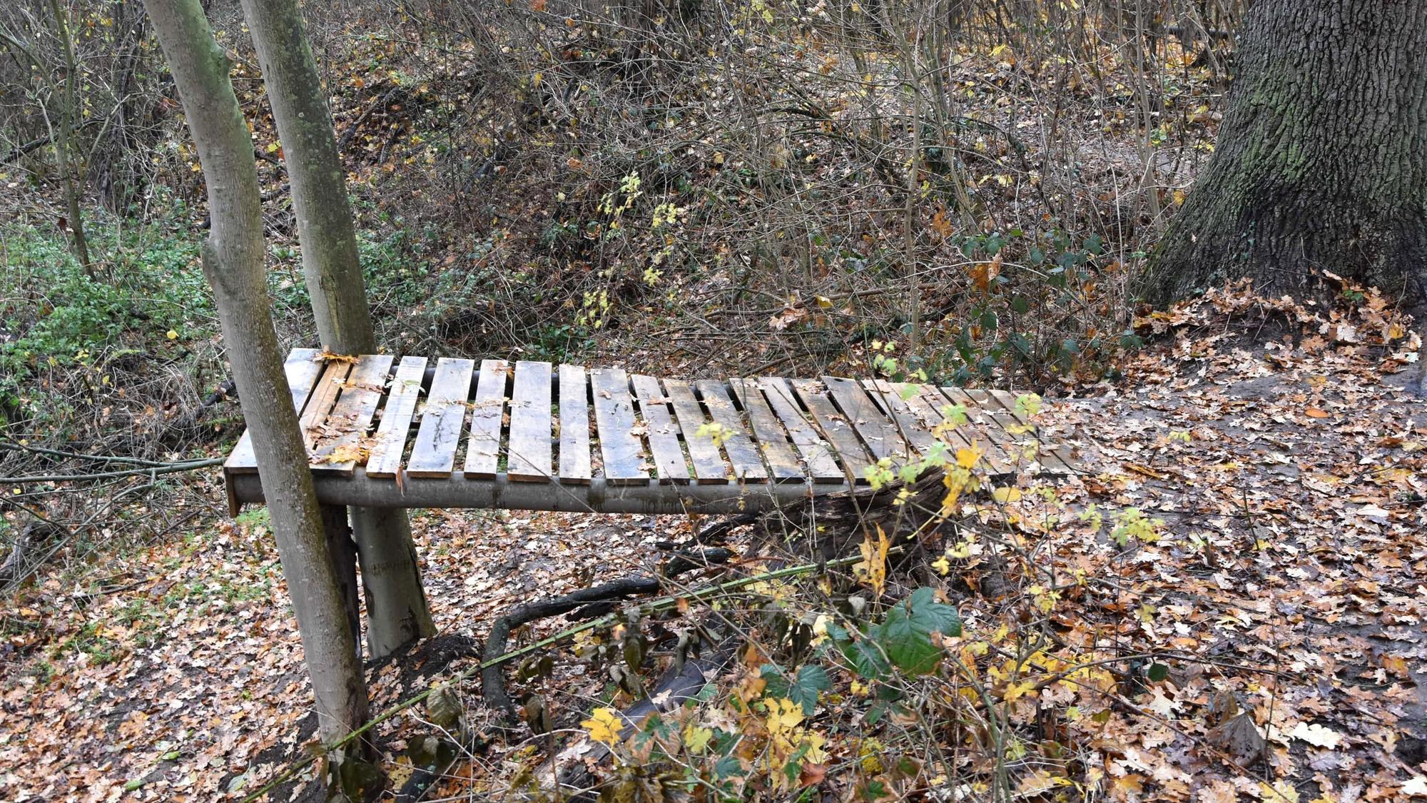 Die Stadt Elsdorf wird die Rampe jetzt entfernen.