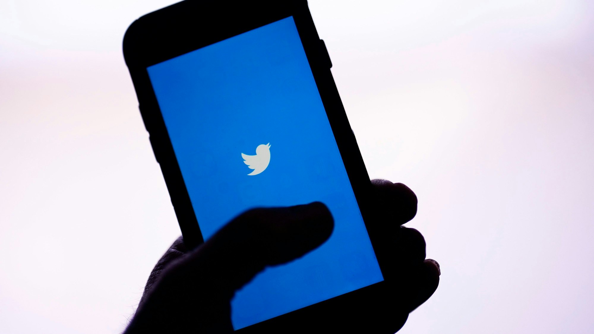 Das Twitter-Logo leuchtet auf einem Smartphone.