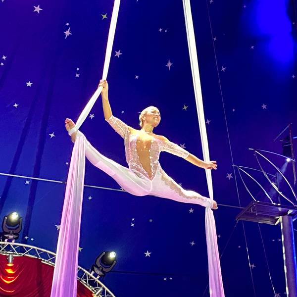 Karola Casselly hängt unter der Zirkuszeltdecke an zwei seidenen Tüchern und performt ihre Akrobatiknummer.