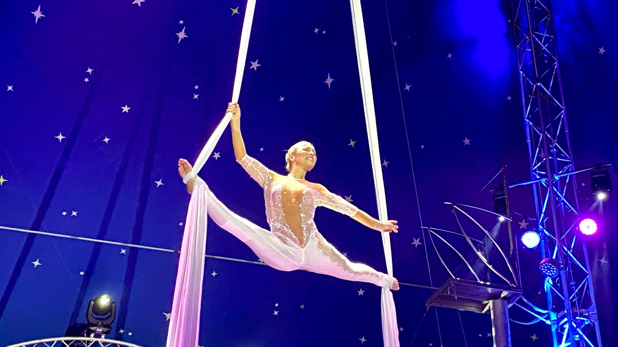 Karola Casselly hängt unter der Zirkuszeltdecke an zwei seidenen Tüchern und performt ihre Akrobatiknummer.