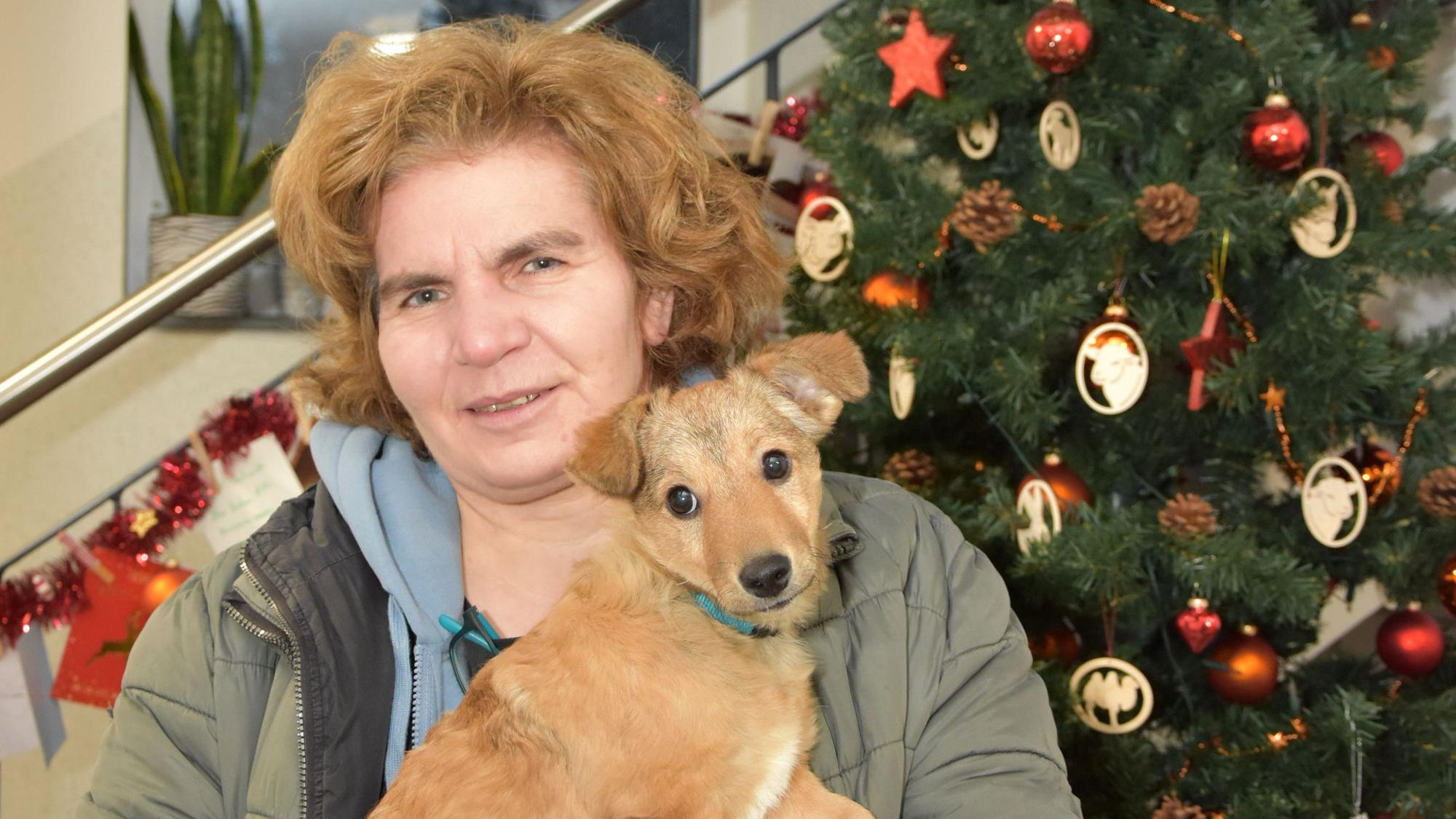 Die Tierheimchefin steht vor einem Tannenbaum und hält einen Welpen in der Hand.