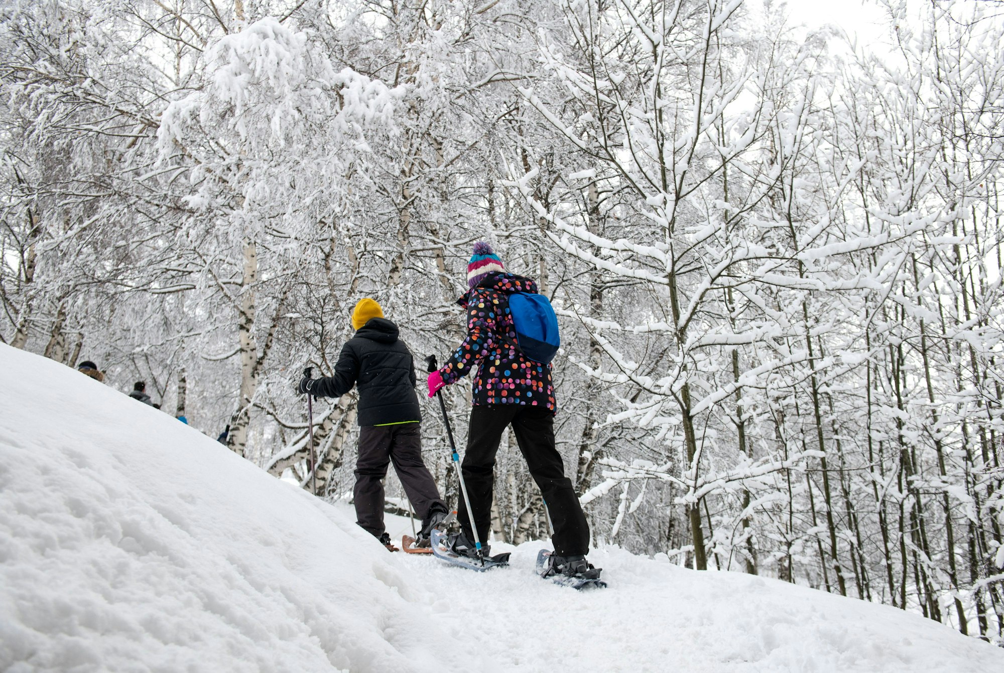 Mit Schneeschuhen durch den Wald gleiten