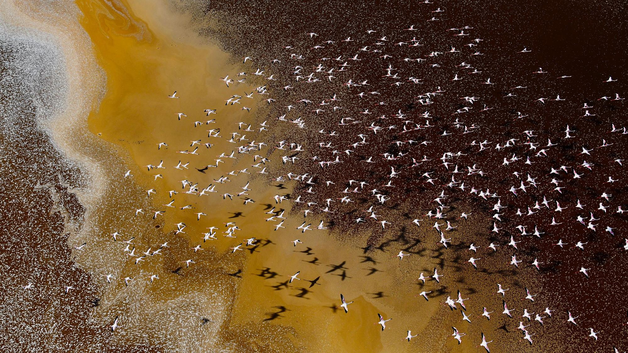 Vögel fliegen über den Magadisee und den Natronsee.