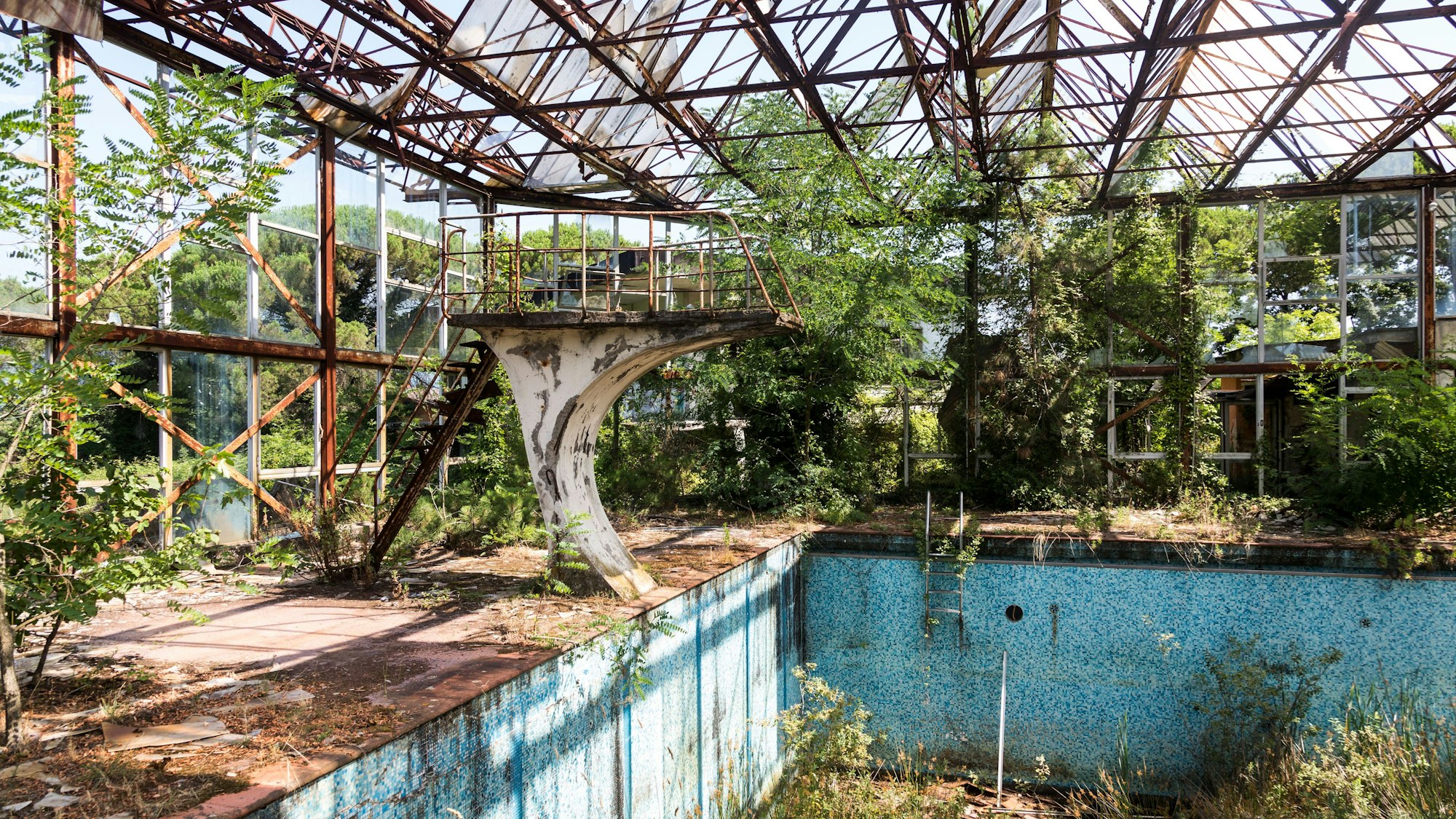 Das Gewinnerfoto in der Kategorie „Recovering Nature“ zeigt ein von Pflanzen bewachsenes Schwimmbad.