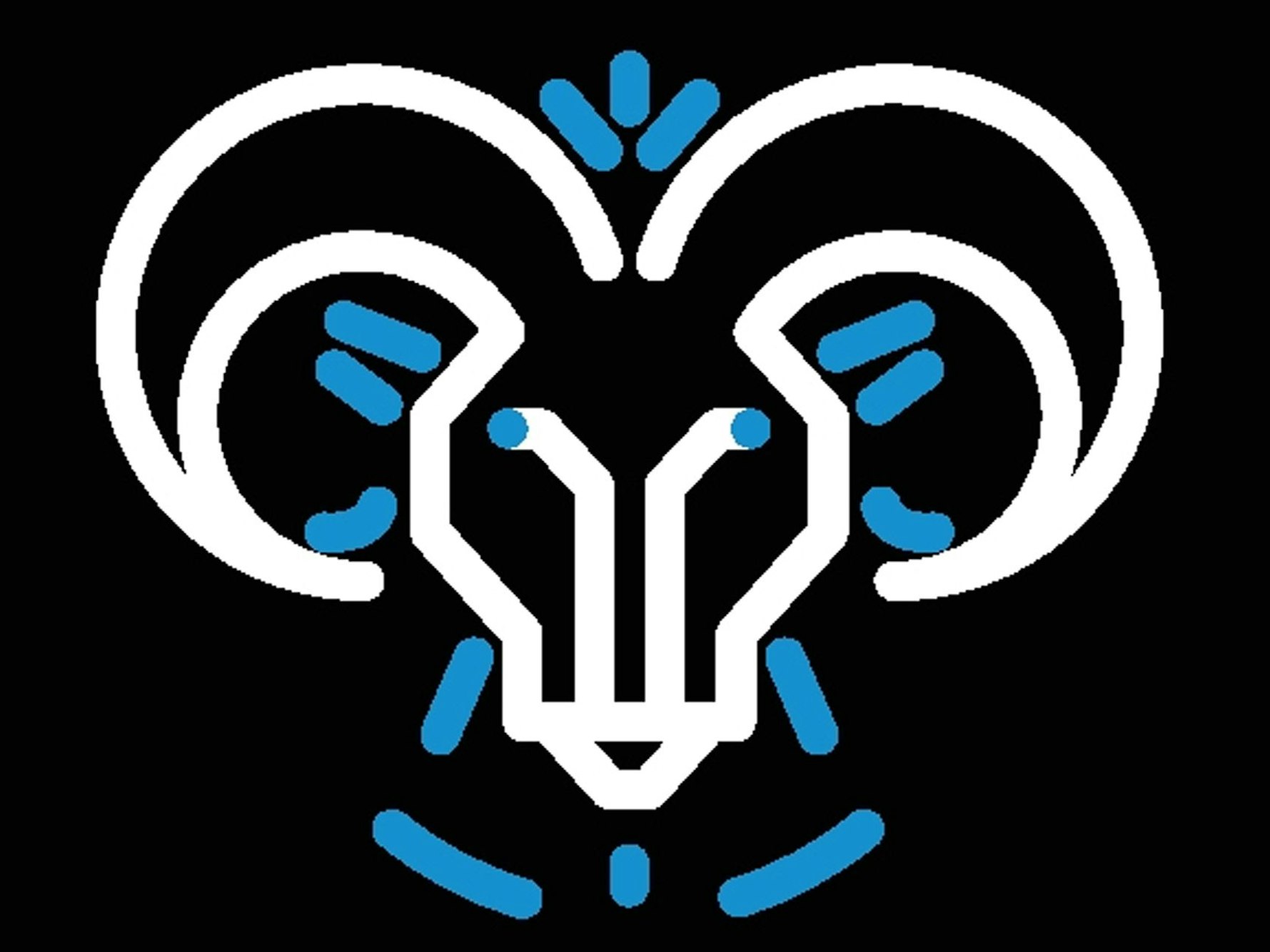 Tierkreiszeichen Steinbock