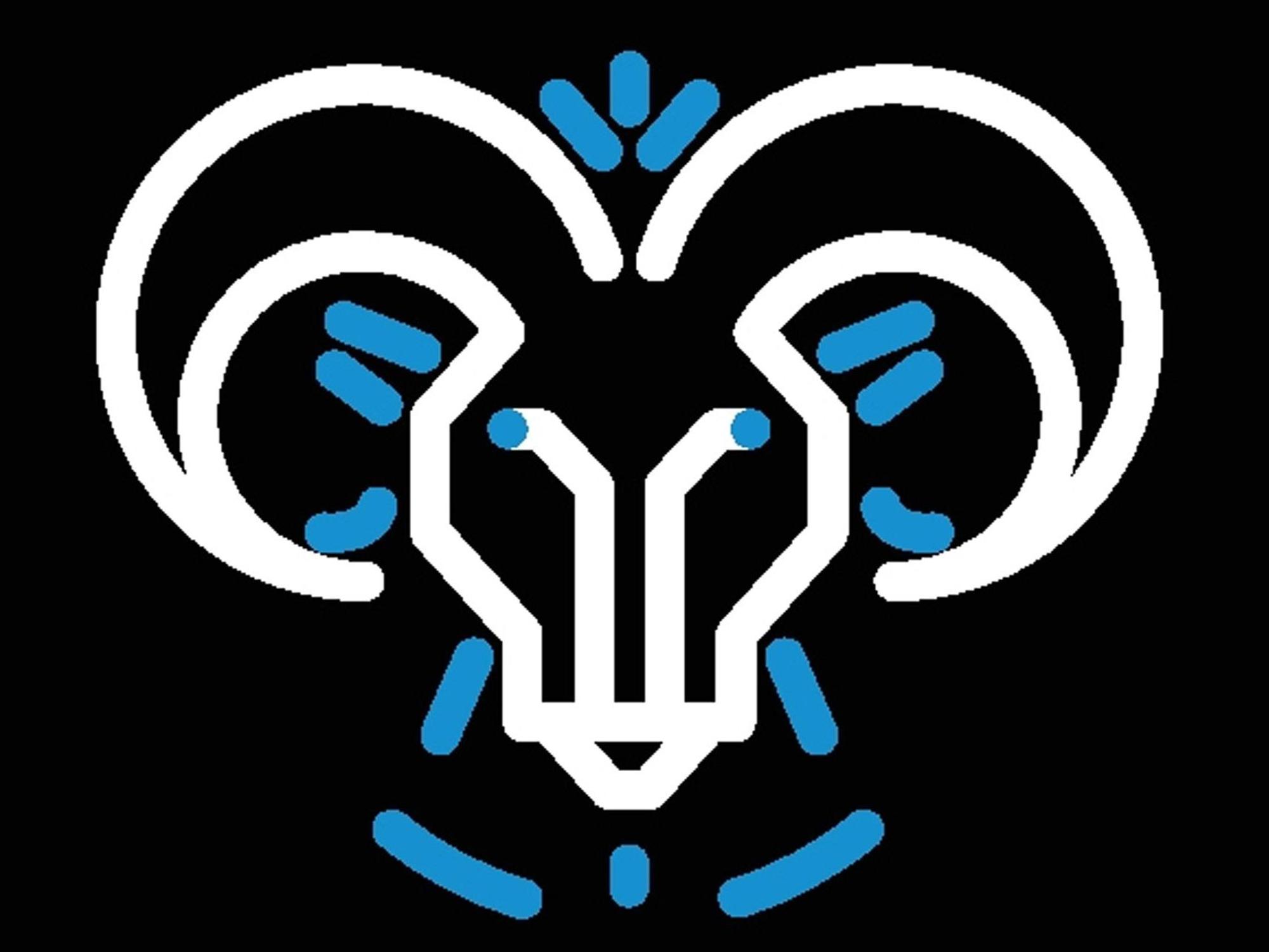Tierkreiszeichen Steinbock
