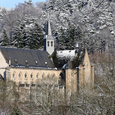 Die Bäume um den Altenberger Dom herum sind verschneit.