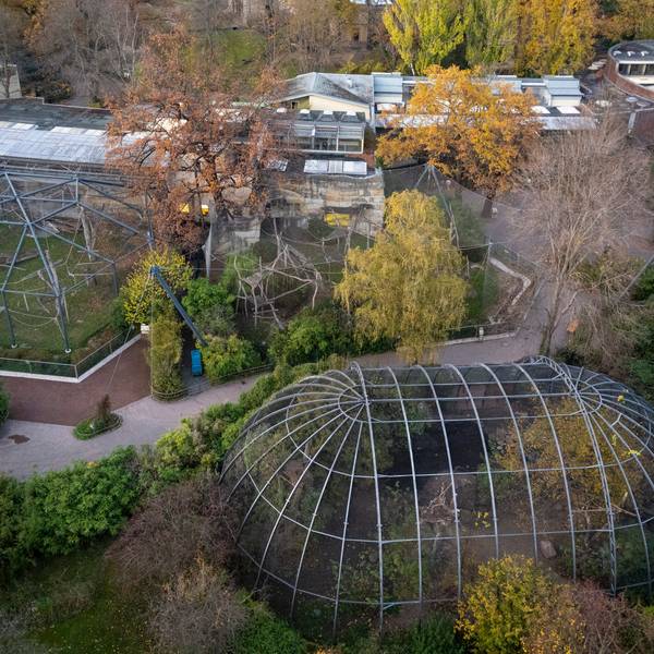 Eine Luftaufnahme zeigt den Berliner Zoo in herbstlichen Farben. Auf den Wegen ist niemand zu sehen.