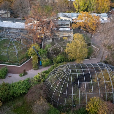 Eine Luftaufnahme zeigt den Berliner Zoo in herbstlichen Farben. Auf den Wegen ist niemand zu sehen.