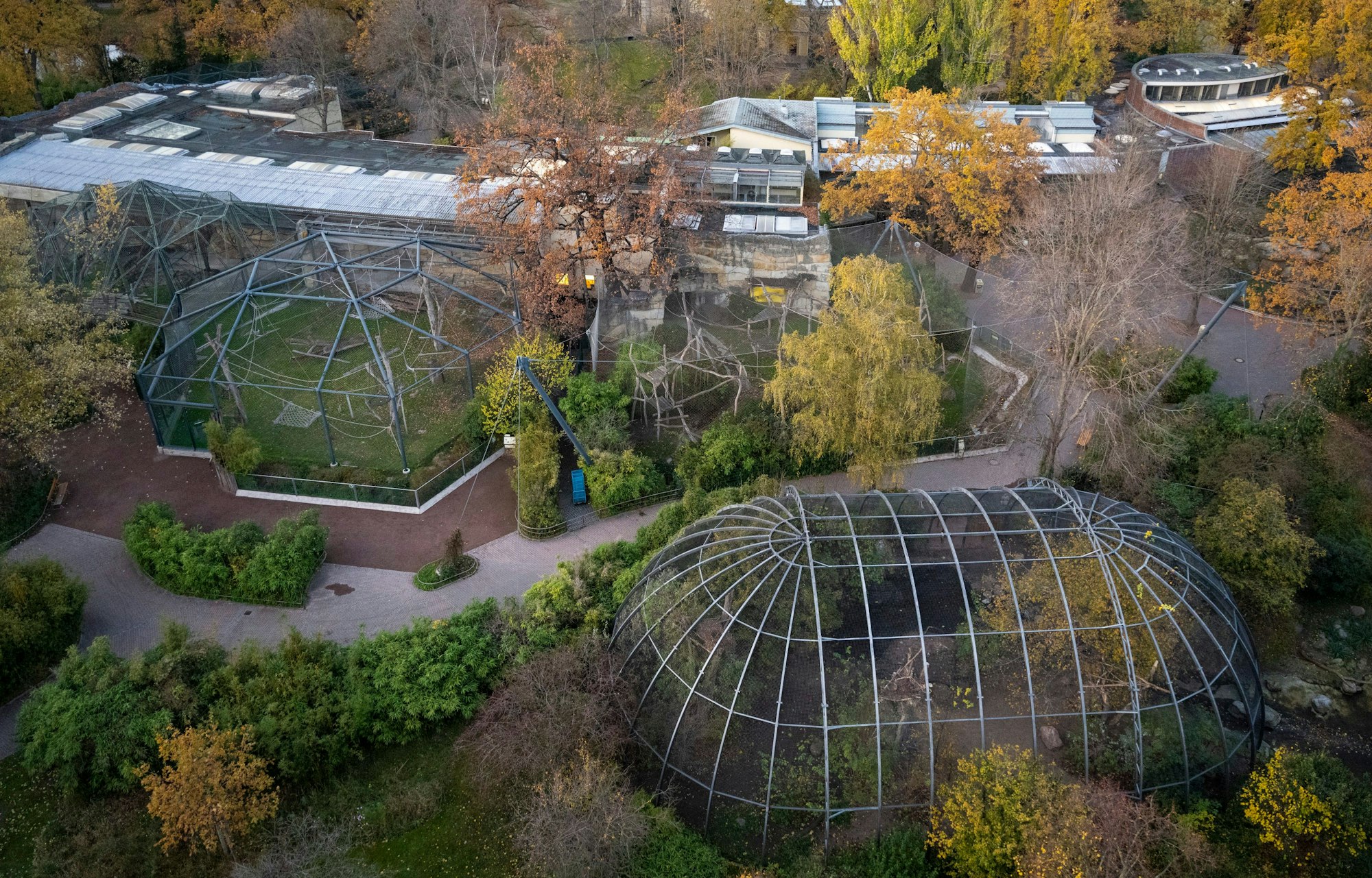 Eine Luftaufnahme zeigt den Berliner Zoo in herbstlichen Farben. Auf den Wegen ist niemand zu sehen.