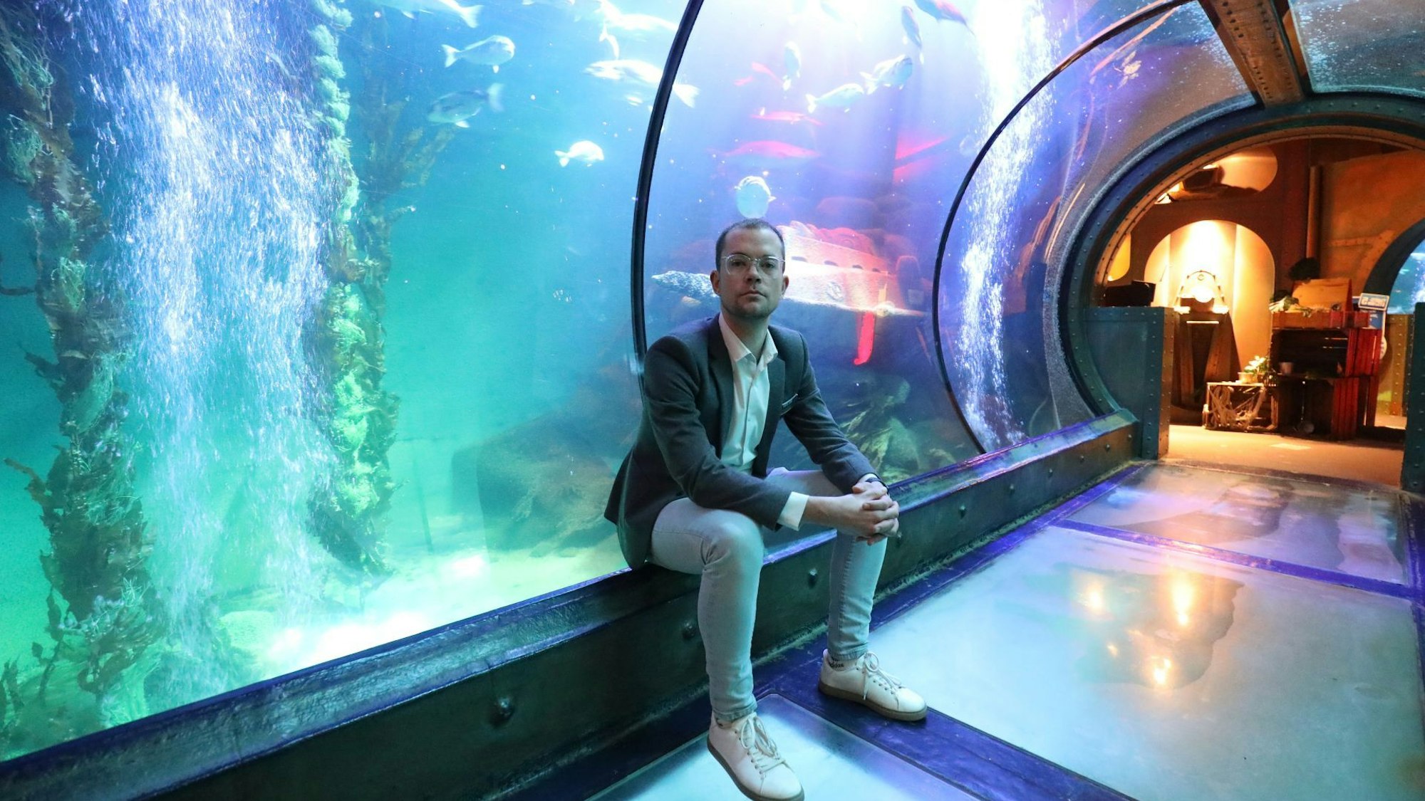 Ein Mann in Sakko und Jeans sitzt am Rande eines Glastunnels, der durch das Ozeanbecken des Sealife Königswinter führt.