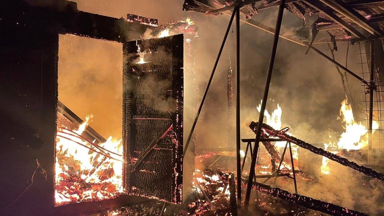 Die brennenden Bienenstöcke.